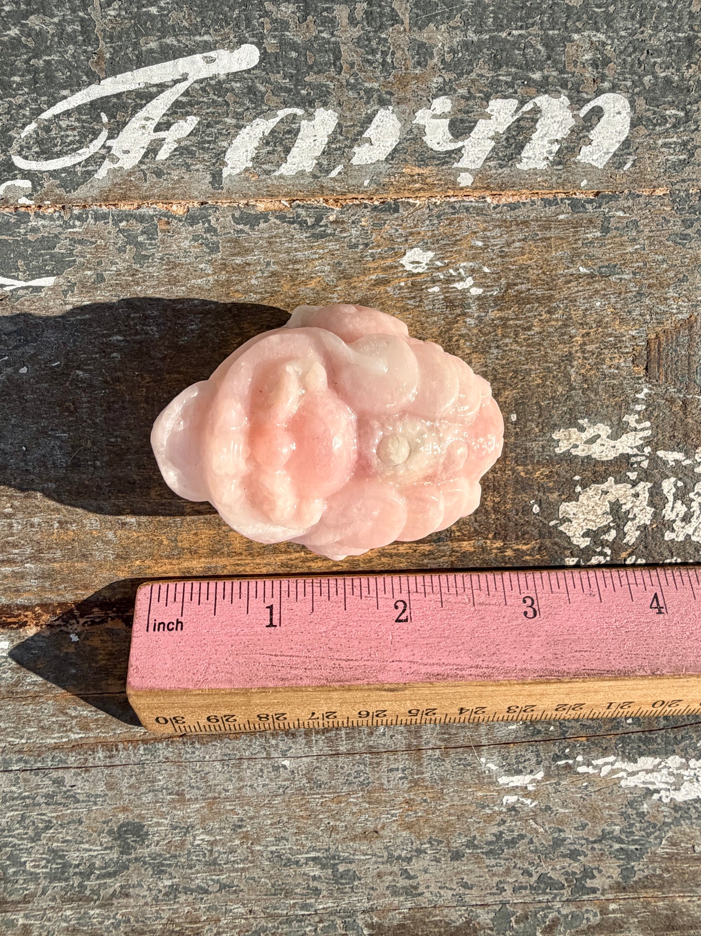 Gorgeous Pastel Pink Opal Money Toad | Opt 12