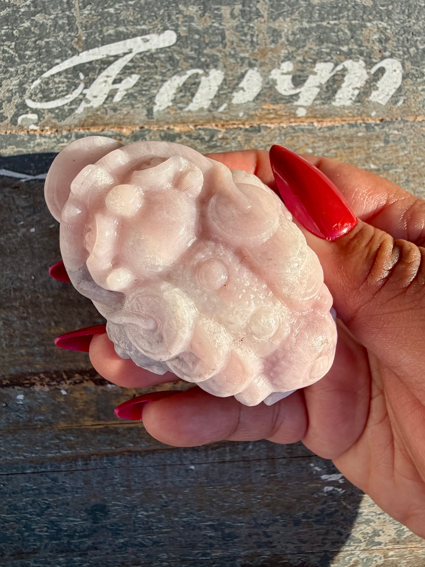 Gorgeous Pastel Pink Opal Money Toad | Opt 15