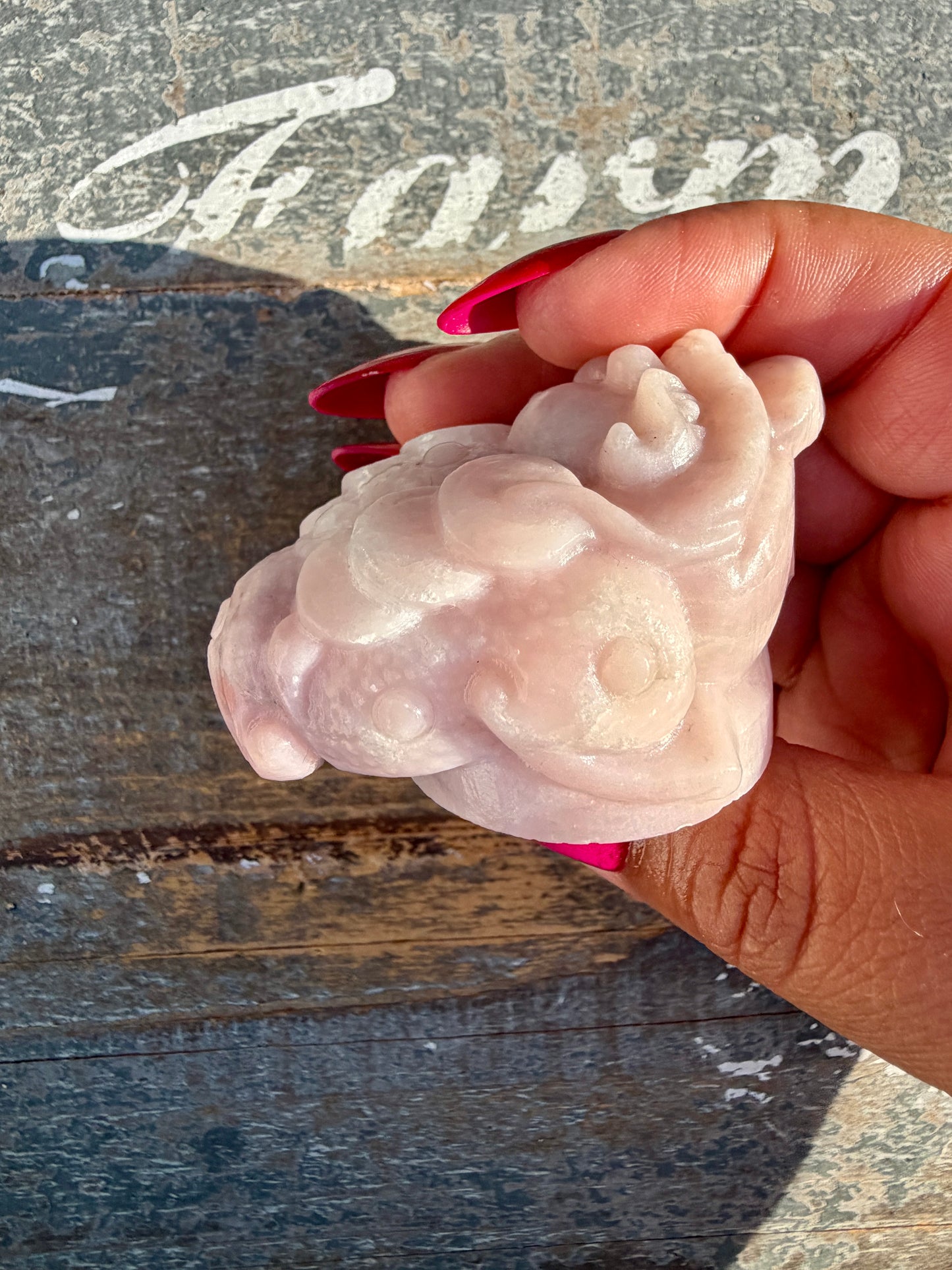 Gorgeous Pastel Pink Opal Money Toad | Opt 15