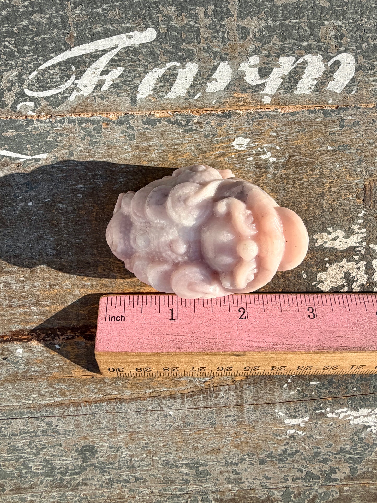 Gorgeous Pastel Pink Opal Money Toad | Opt 15