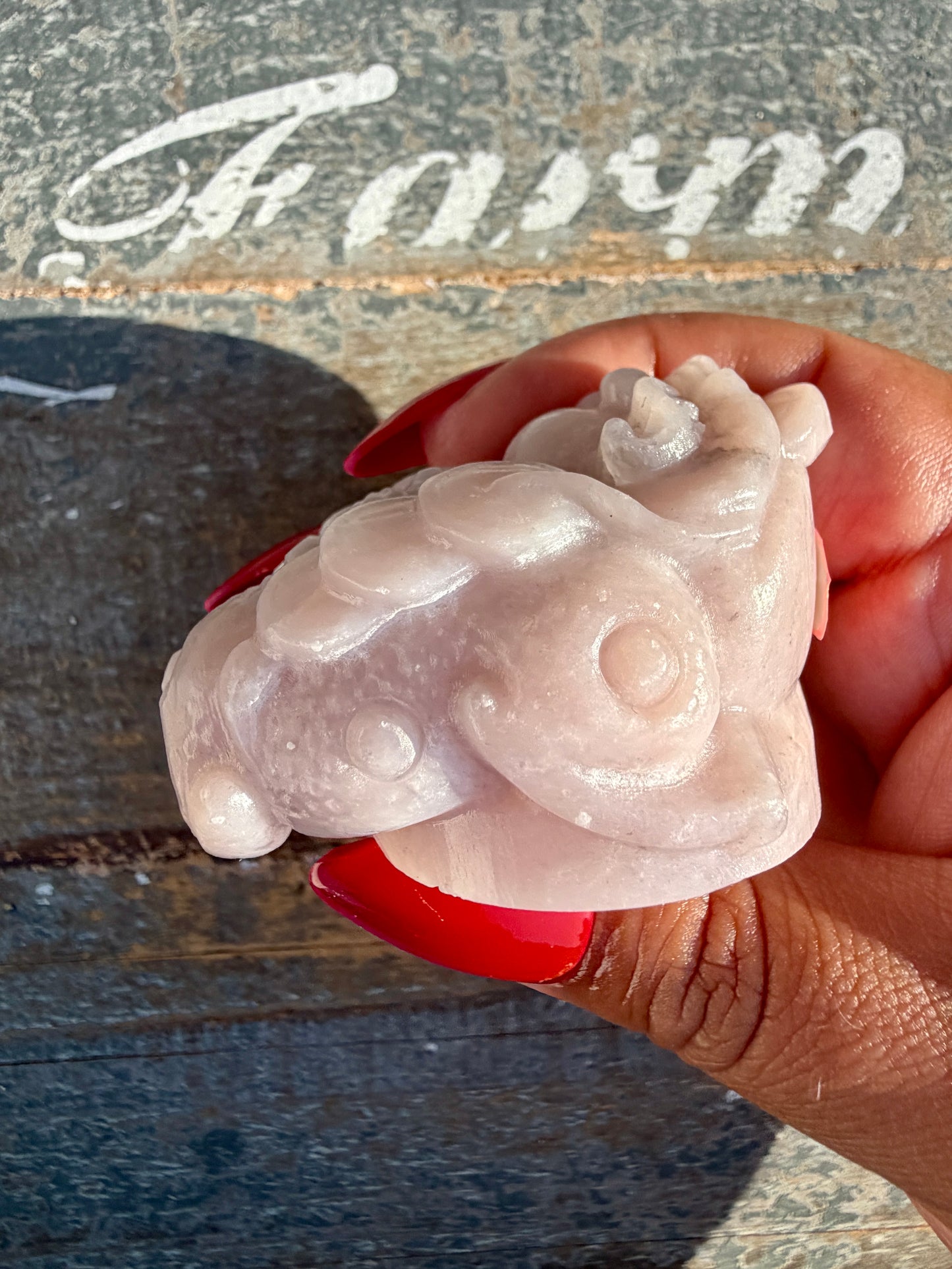 Gorgeous Pastel Pink Opal Money Toad | Opt 17