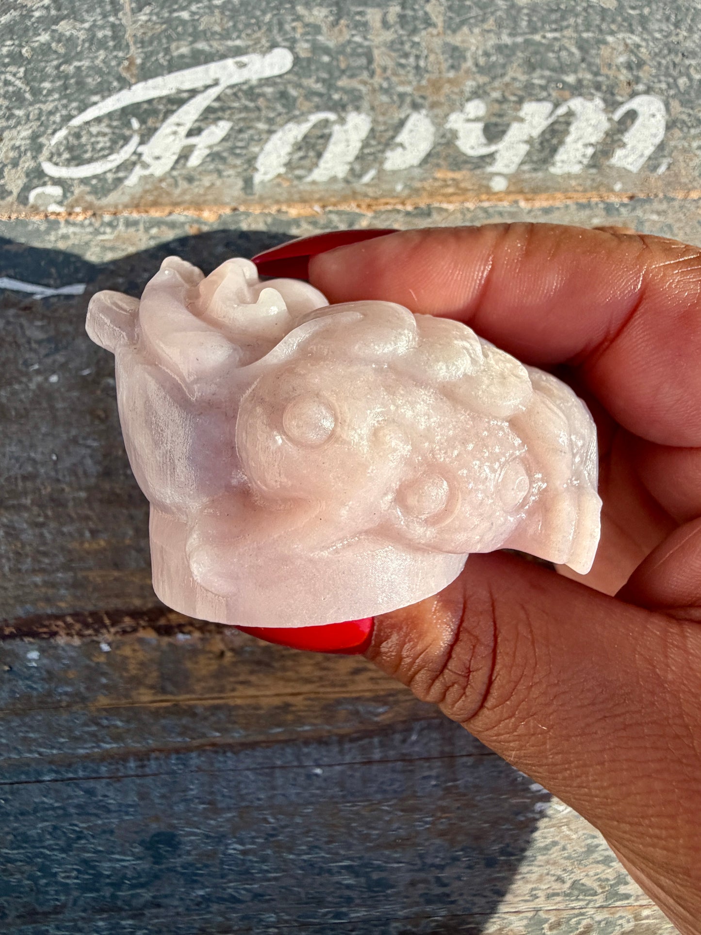 Gorgeous Pastel Pink Opal Money Toad | Opt 17