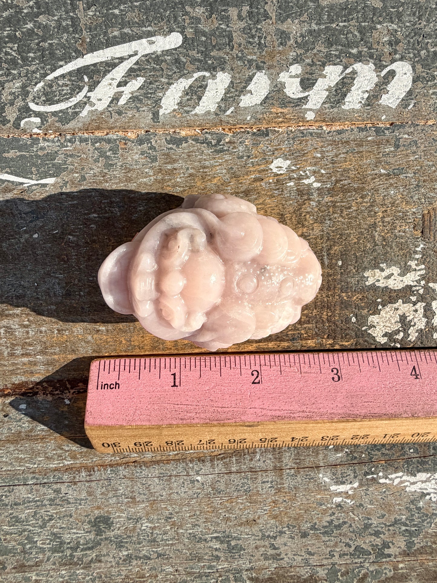 Gorgeous Pastel Pink Opal Money Toad | Opt 17