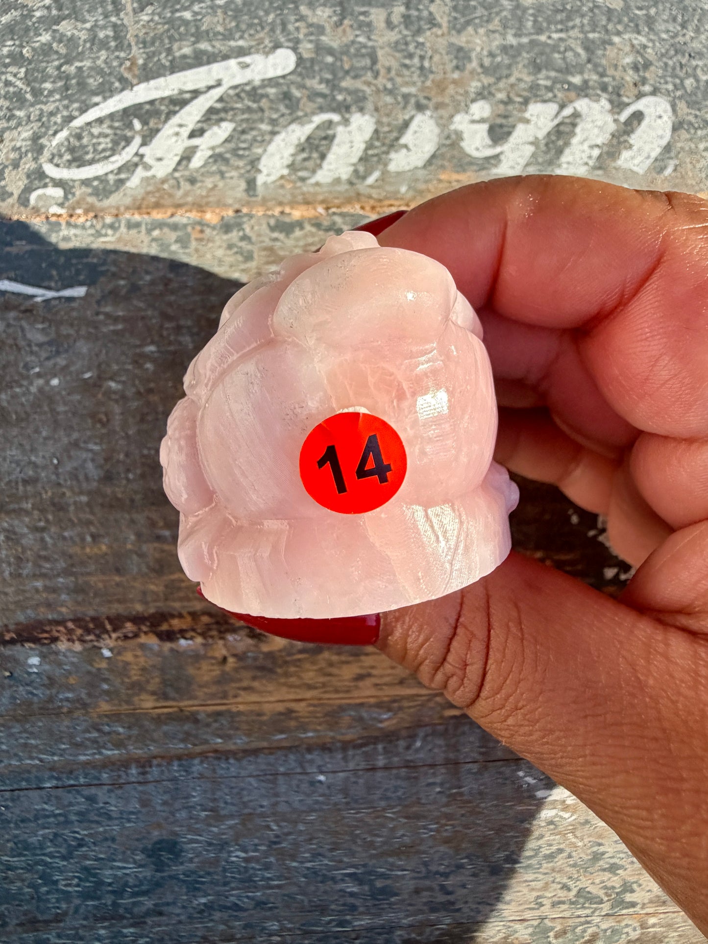 Gorgeous Pastel Pink Opal Money Toad | Opt 14