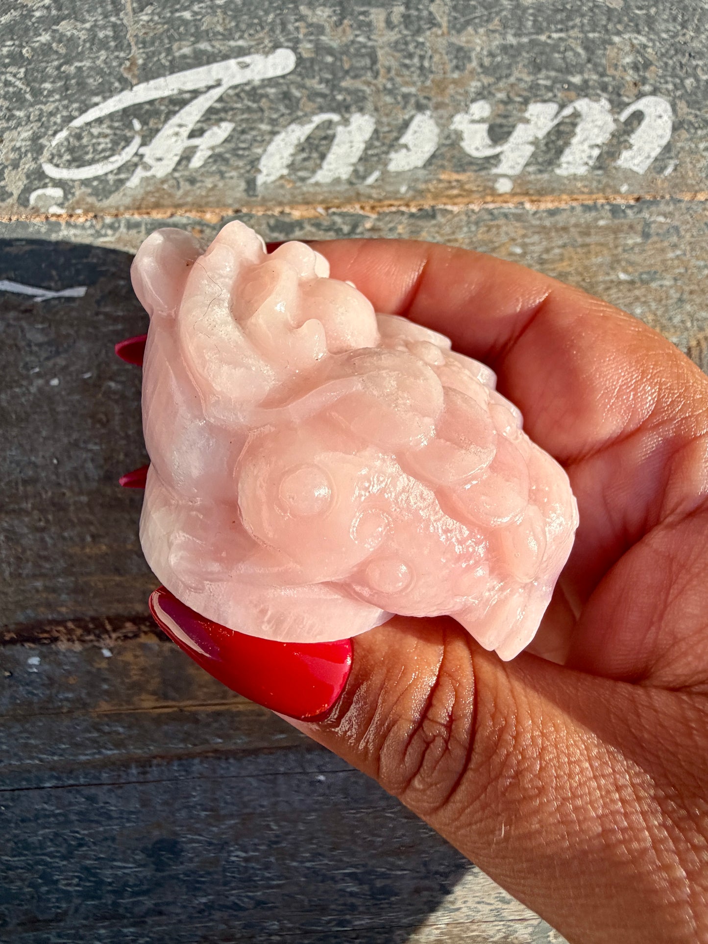 Gorgeous Pastel Pink Opal Money Toad | Opt 14