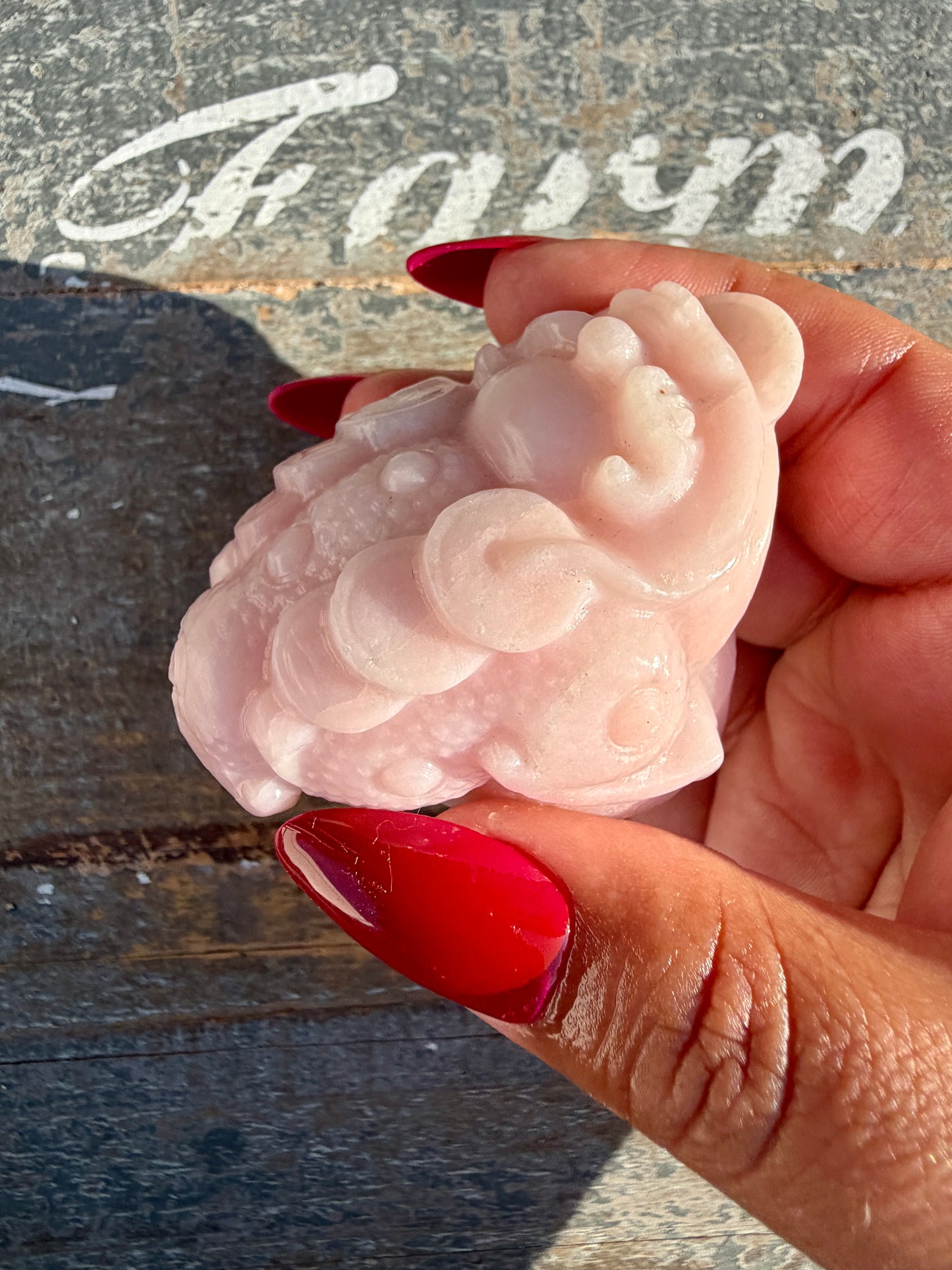 Gorgeous Pastel Pink Opal Money Toad | Opt 14