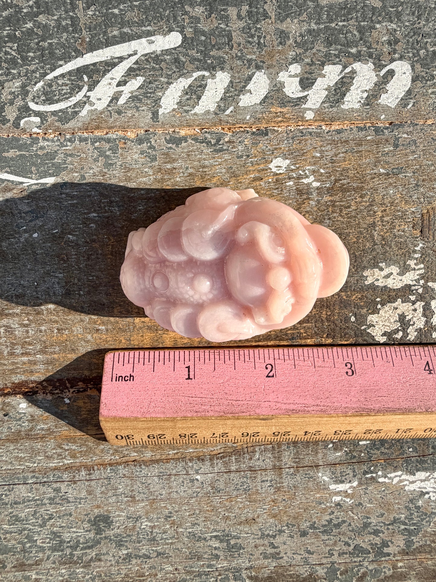 Gorgeous Pastel Pink Opal Money Toad | Opt 14