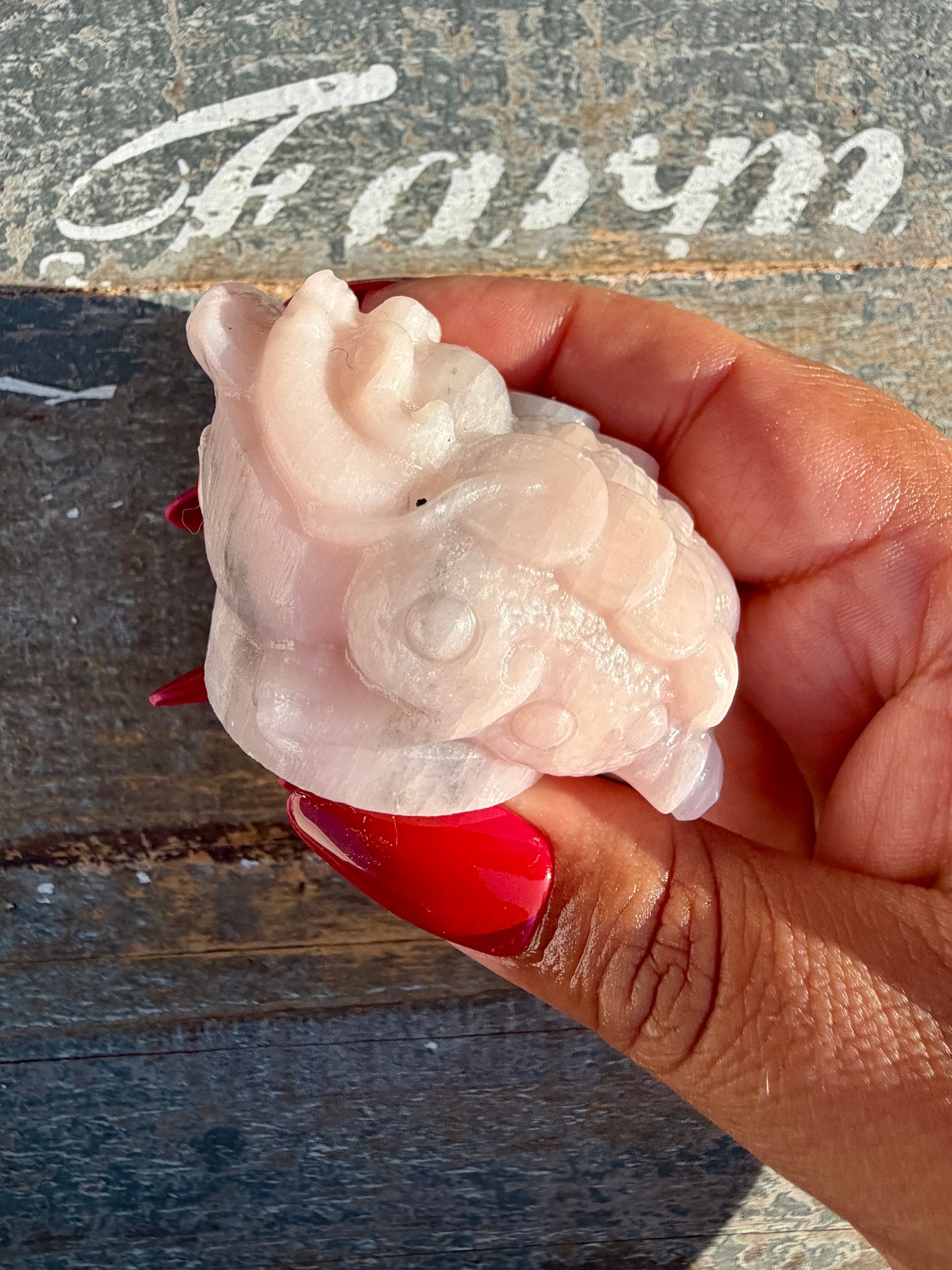 Gorgeous Pastel Pink Opal Money Toad | Opt 16