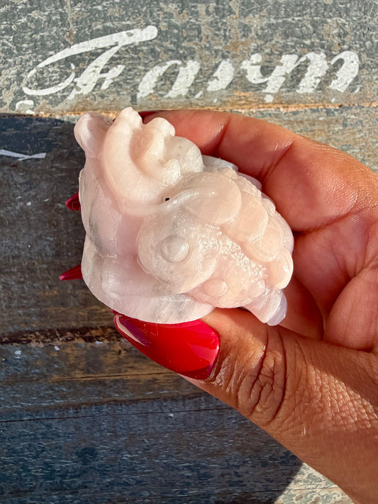 Gorgeous Pastel Pink Opal Money Toad | Opt 16
