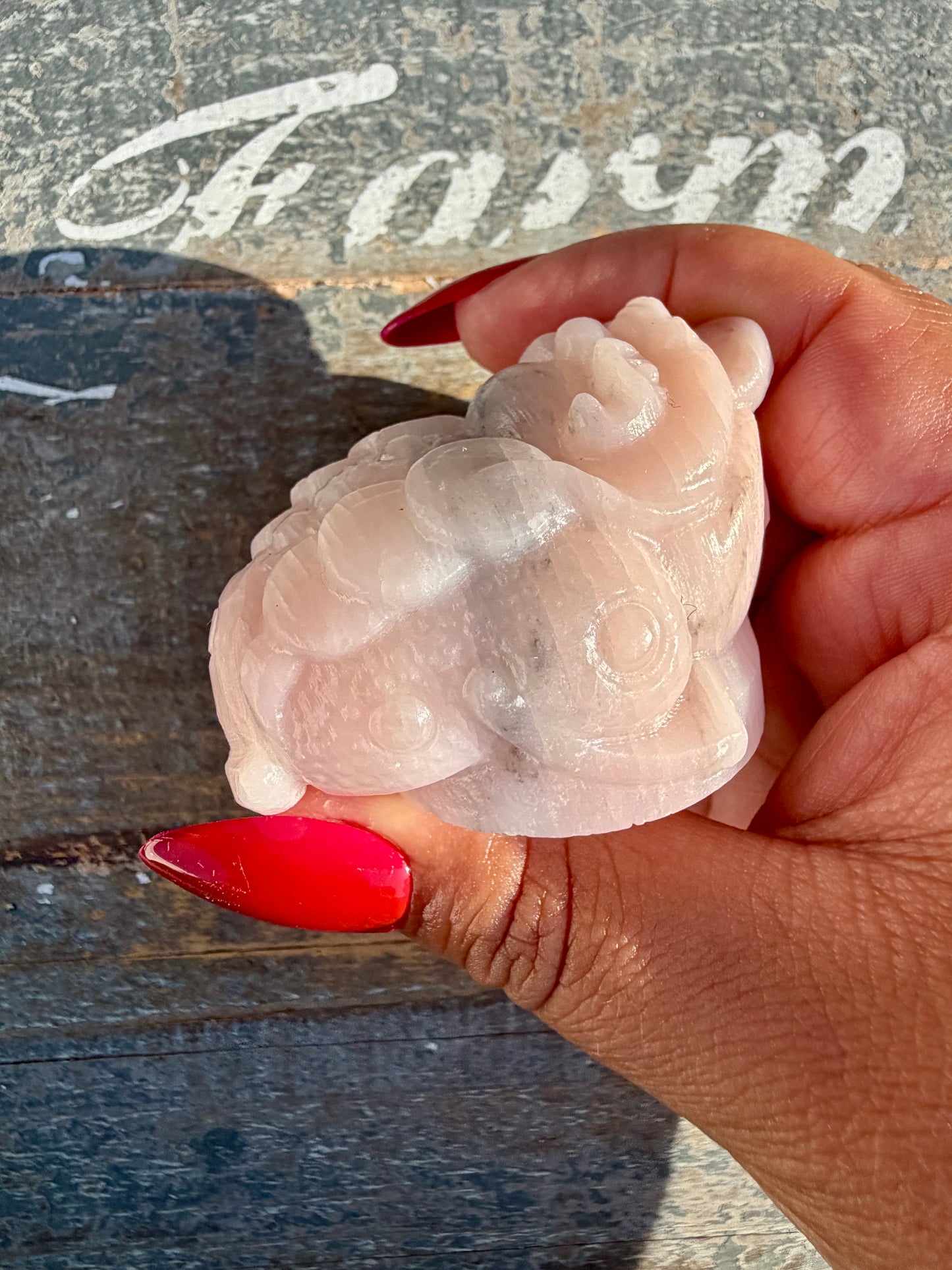 Gorgeous Pastel Pink Opal Money Toad | Opt 16