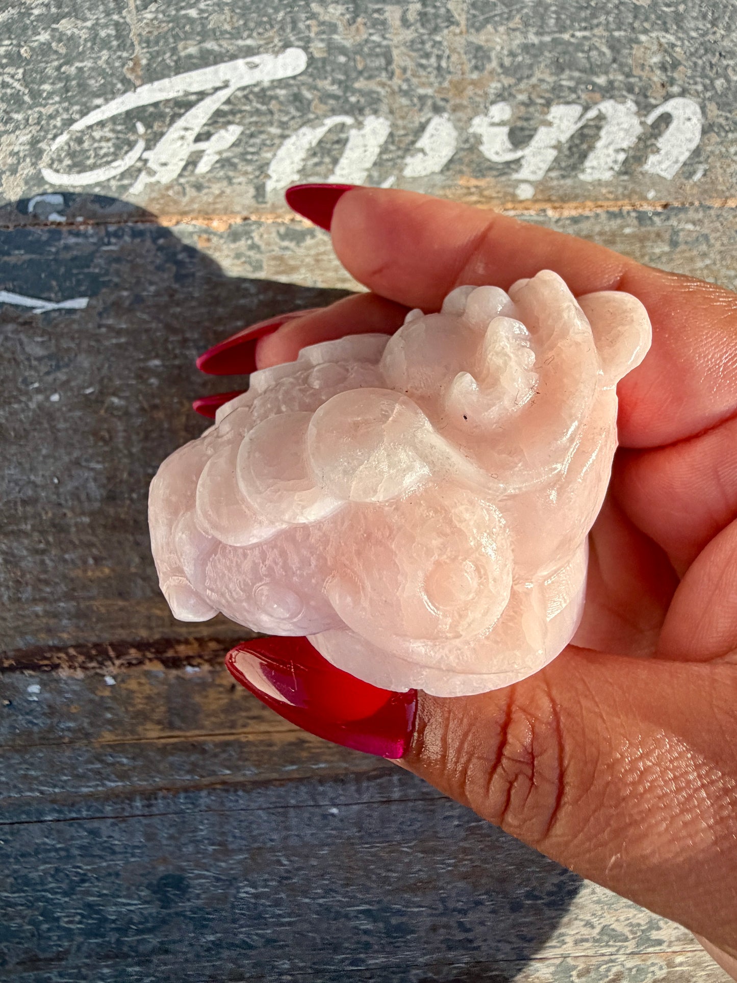 Gorgeous Pastel Pink Opal Money Toad | Opt 20