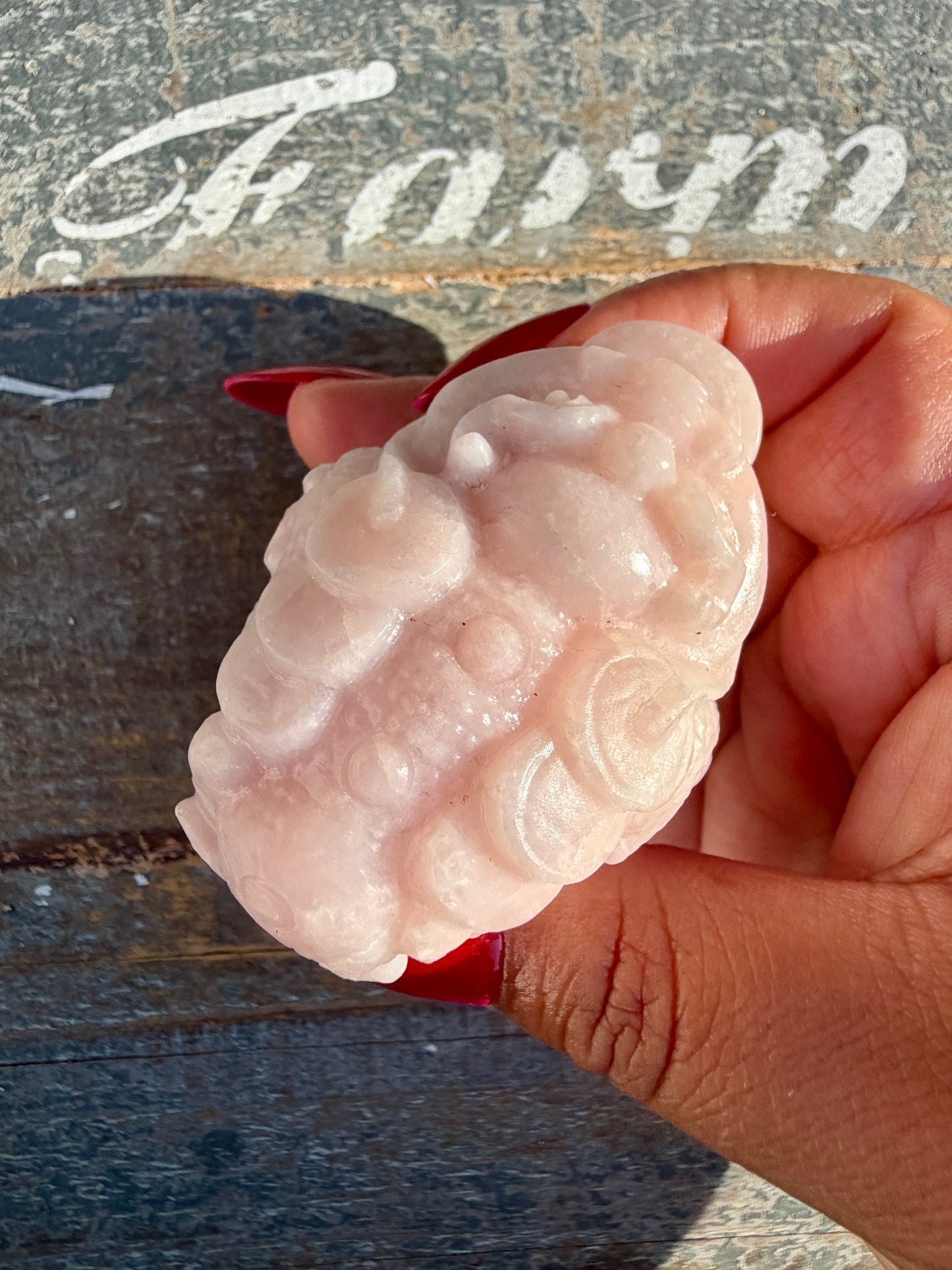 Gorgeous Pastel Pink Opal Money Toad | Opt 20