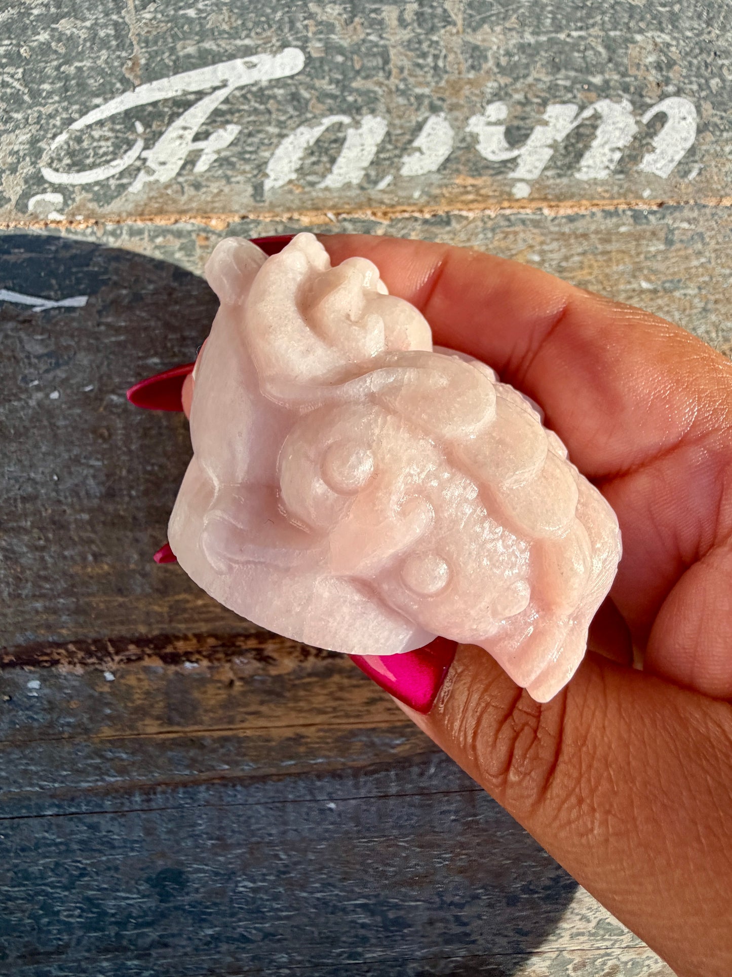 Gorgeous Pastel Pink Opal Money Toad | Opt 20