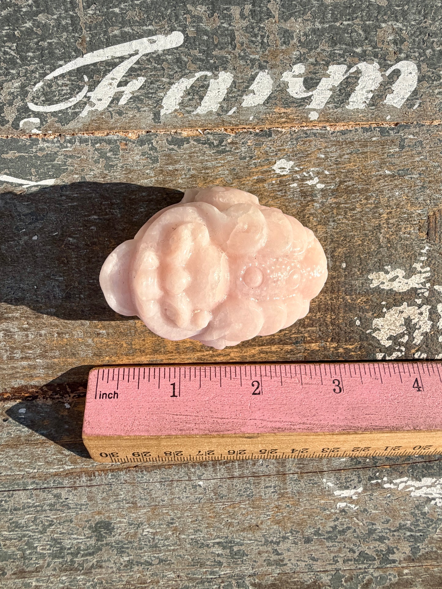 Gorgeous Pastel Pink Opal Money Toad | Opt 20