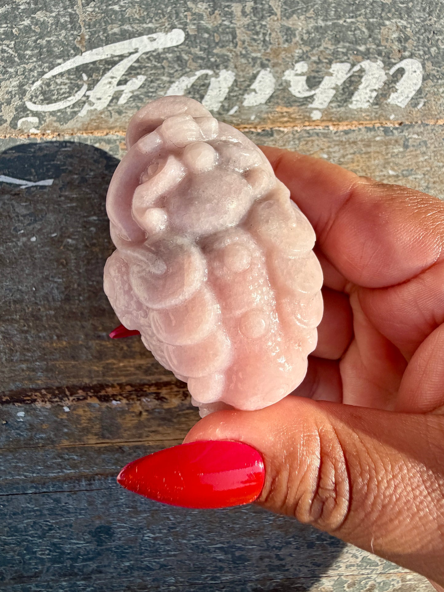 Gorgeous Pastel Pink Opal Money Toad | Opt 13
