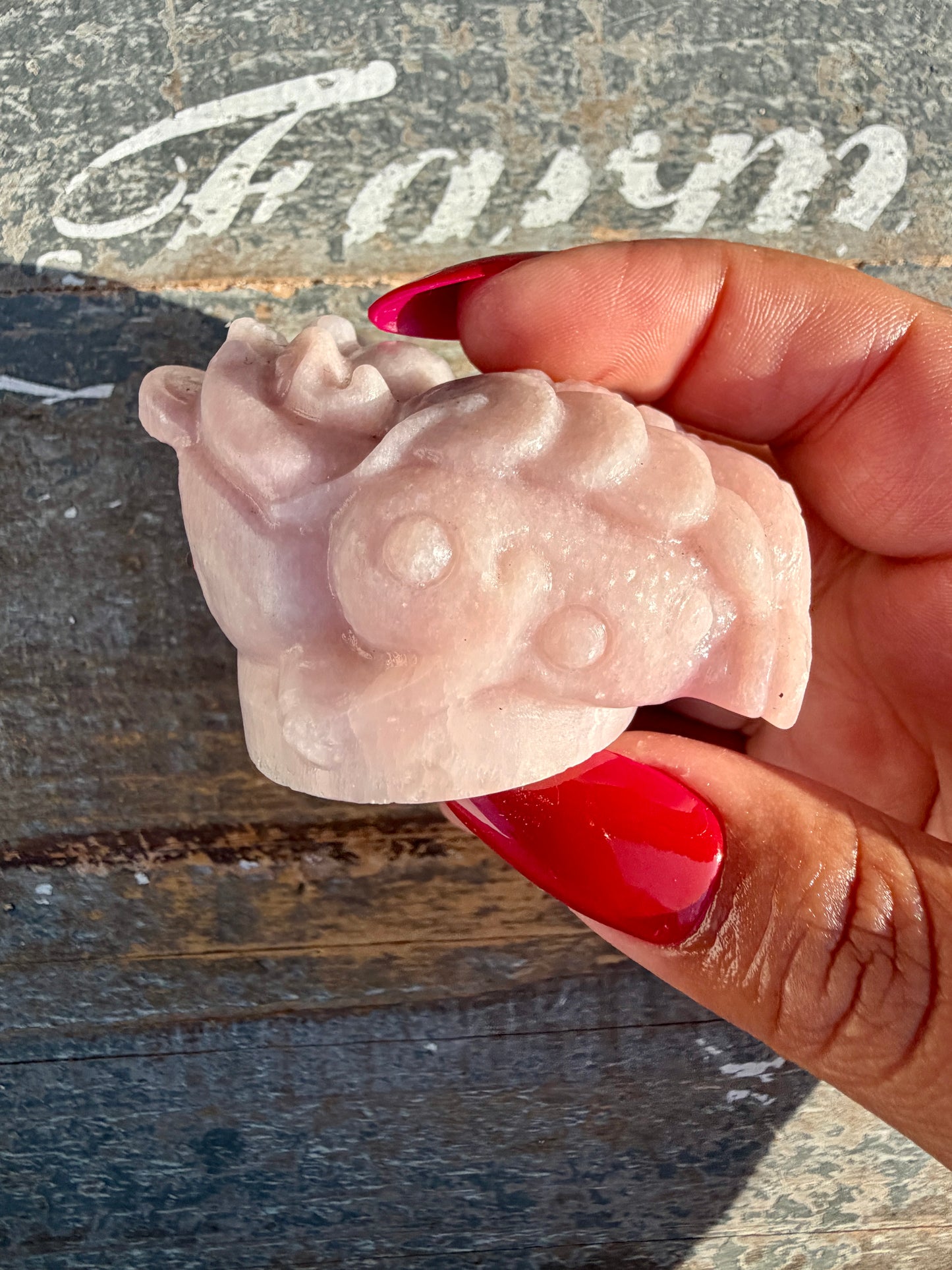 Gorgeous Pastel Pink Opal Money Toad | Opt 13