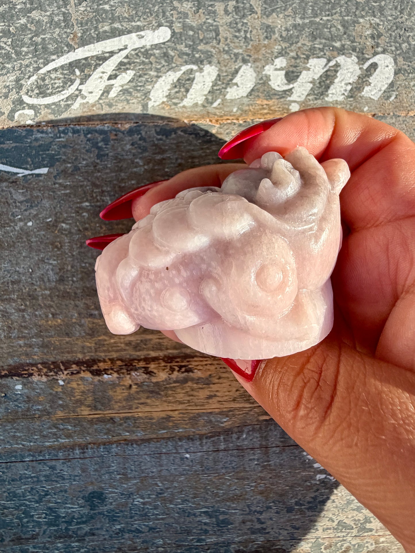 Gorgeous Pastel Pink Opal Money Toad | Opt 13