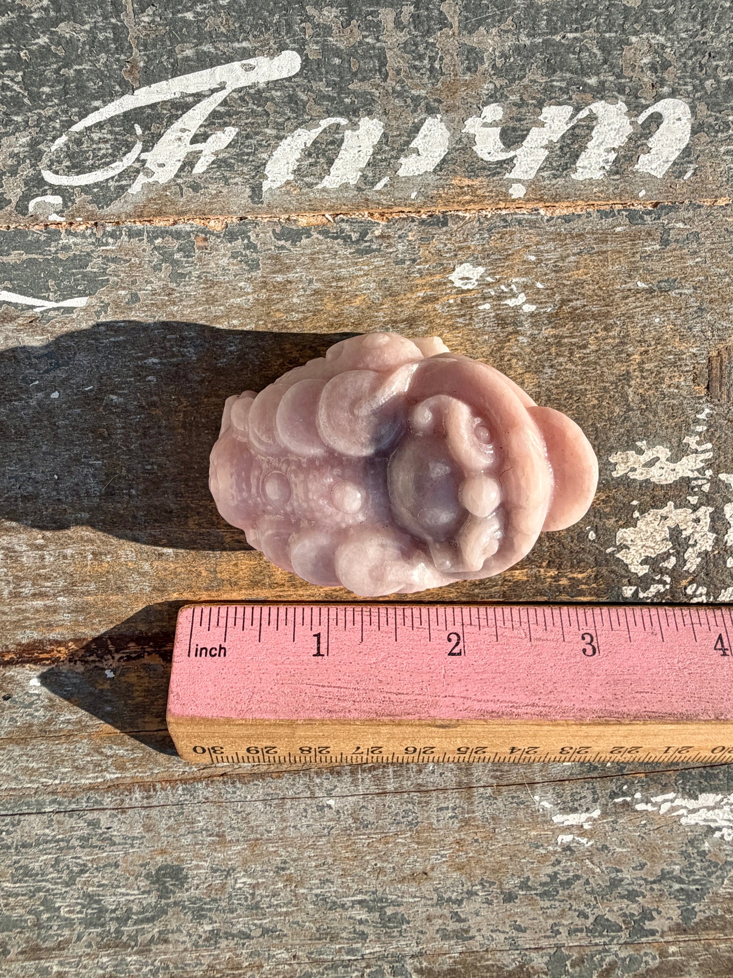 Gorgeous Pastel Pink Opal Money Toad | Opt 13