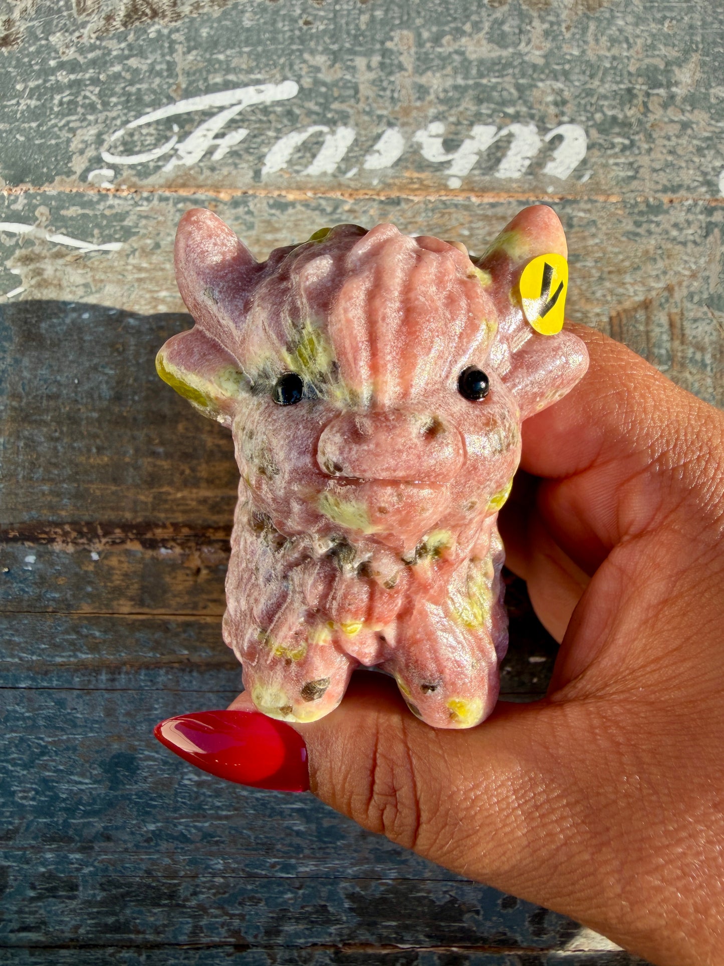 Adorable Peach Blossom Tourmaline Highland Cow | Opt V
