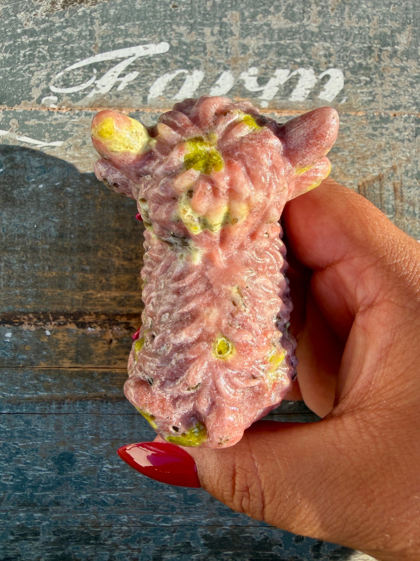 Adorable Peach Blossom Tourmaline Highland Cow | Opt V