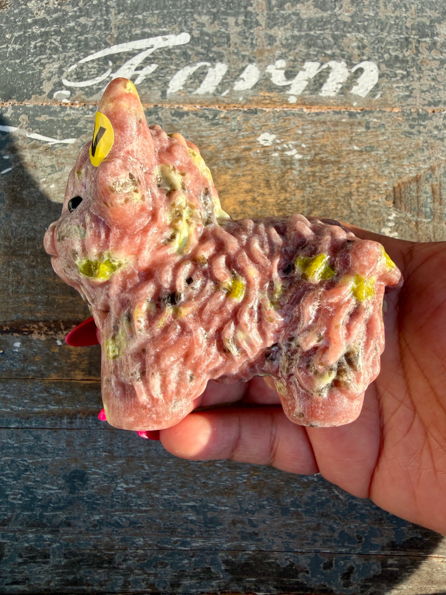 Adorable Peach Blossom Tourmaline Highland Cow | Opt V