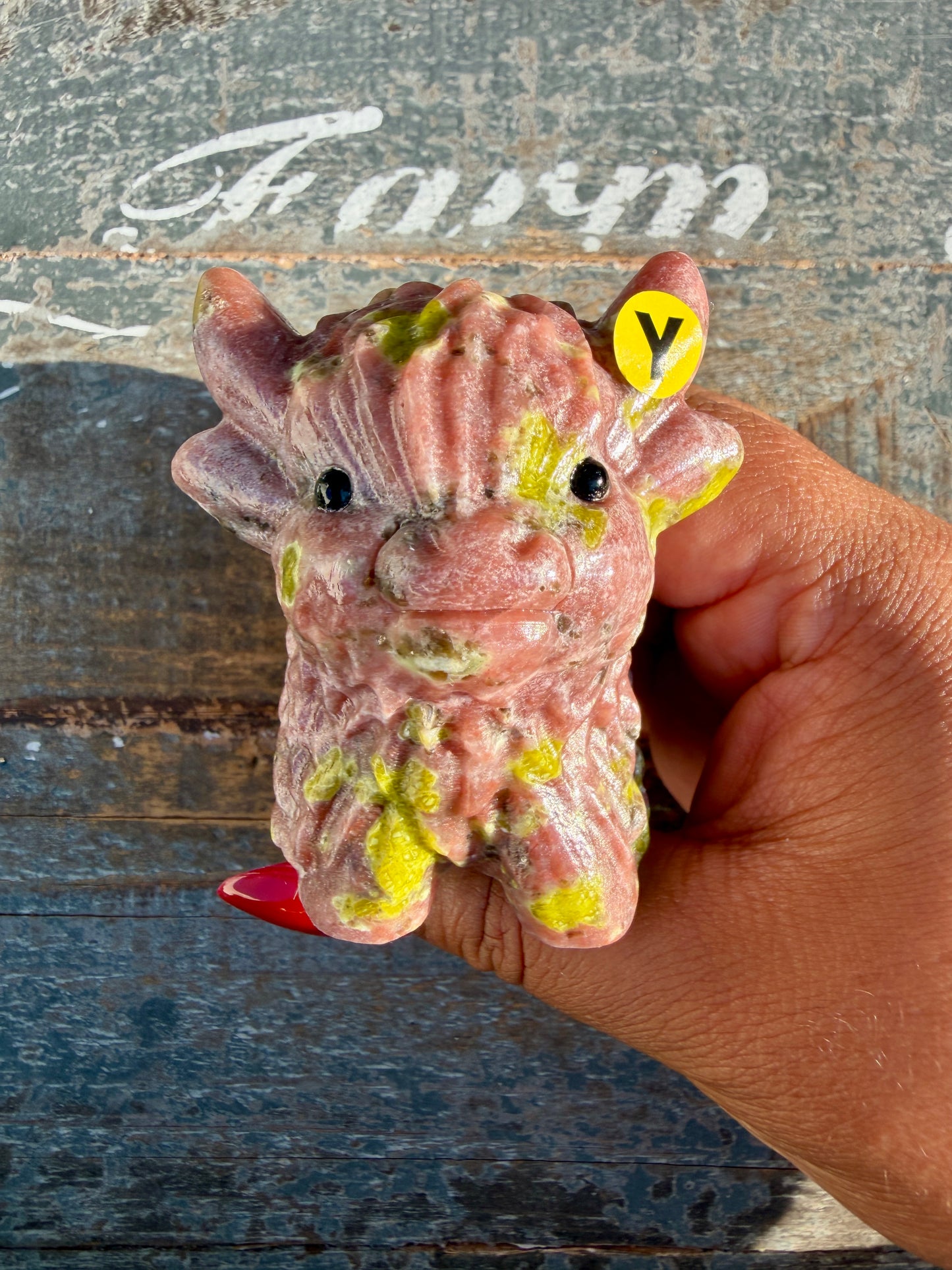 Adorable Peach Blossom Tourmaline Highland Cow | Opt Y