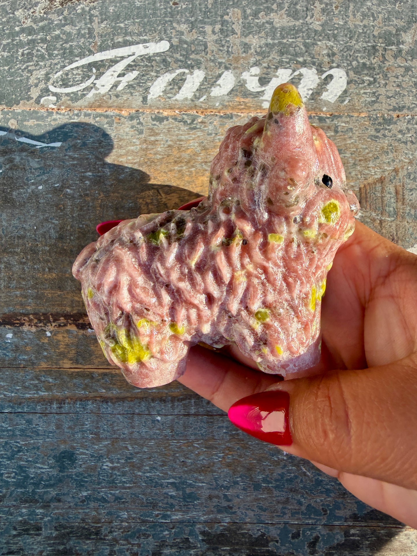 Adorable Peach Blossom Tourmaline Highland Cow | Opt Y