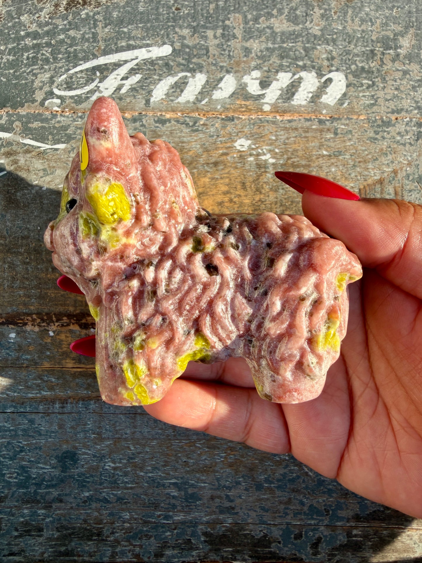 Adorable Peach Blossom Tourmaline Highland Cow | Opt Y