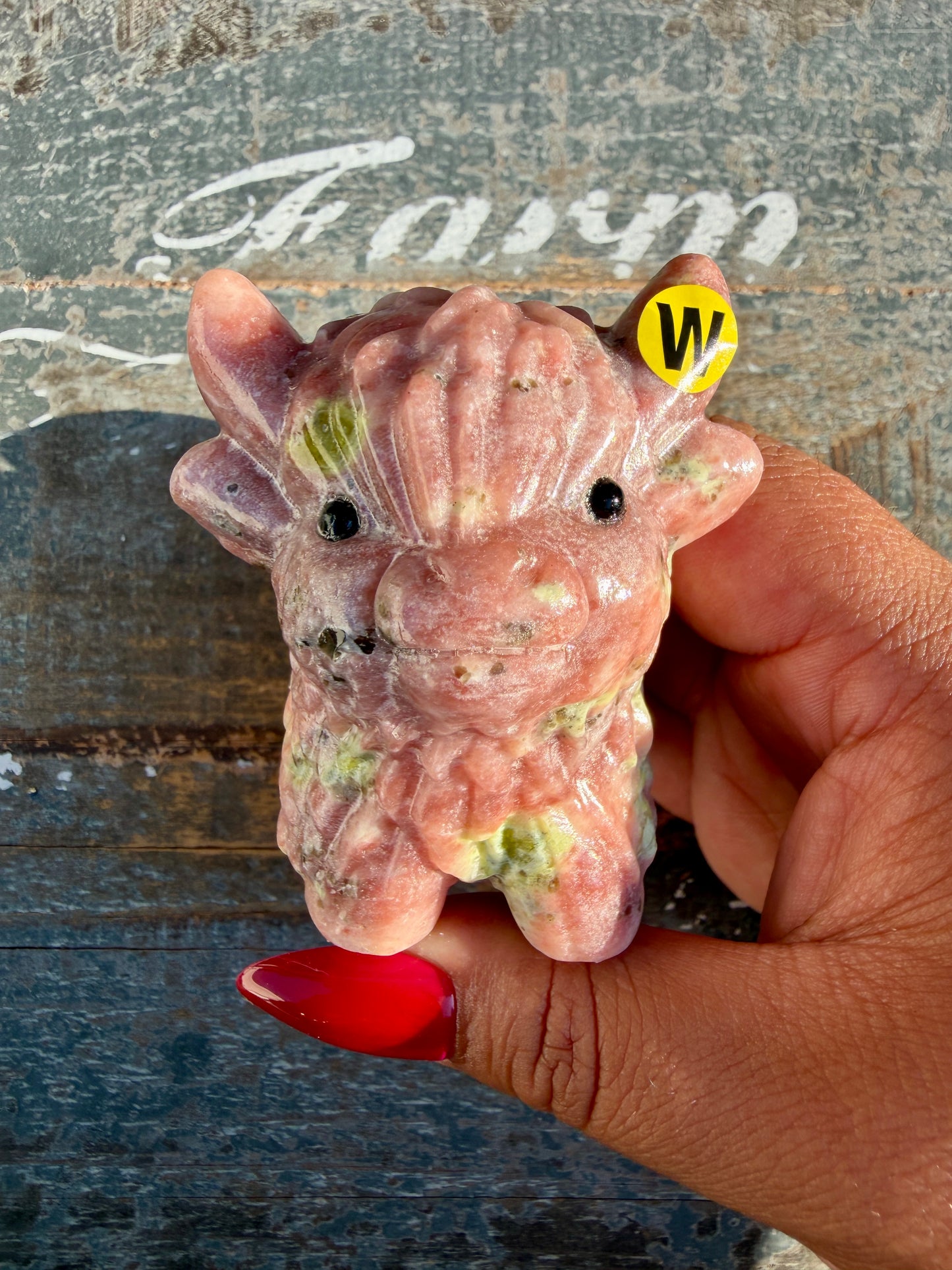 Adorable Peach Blossom Tourmaline Highland Cow | Opt W