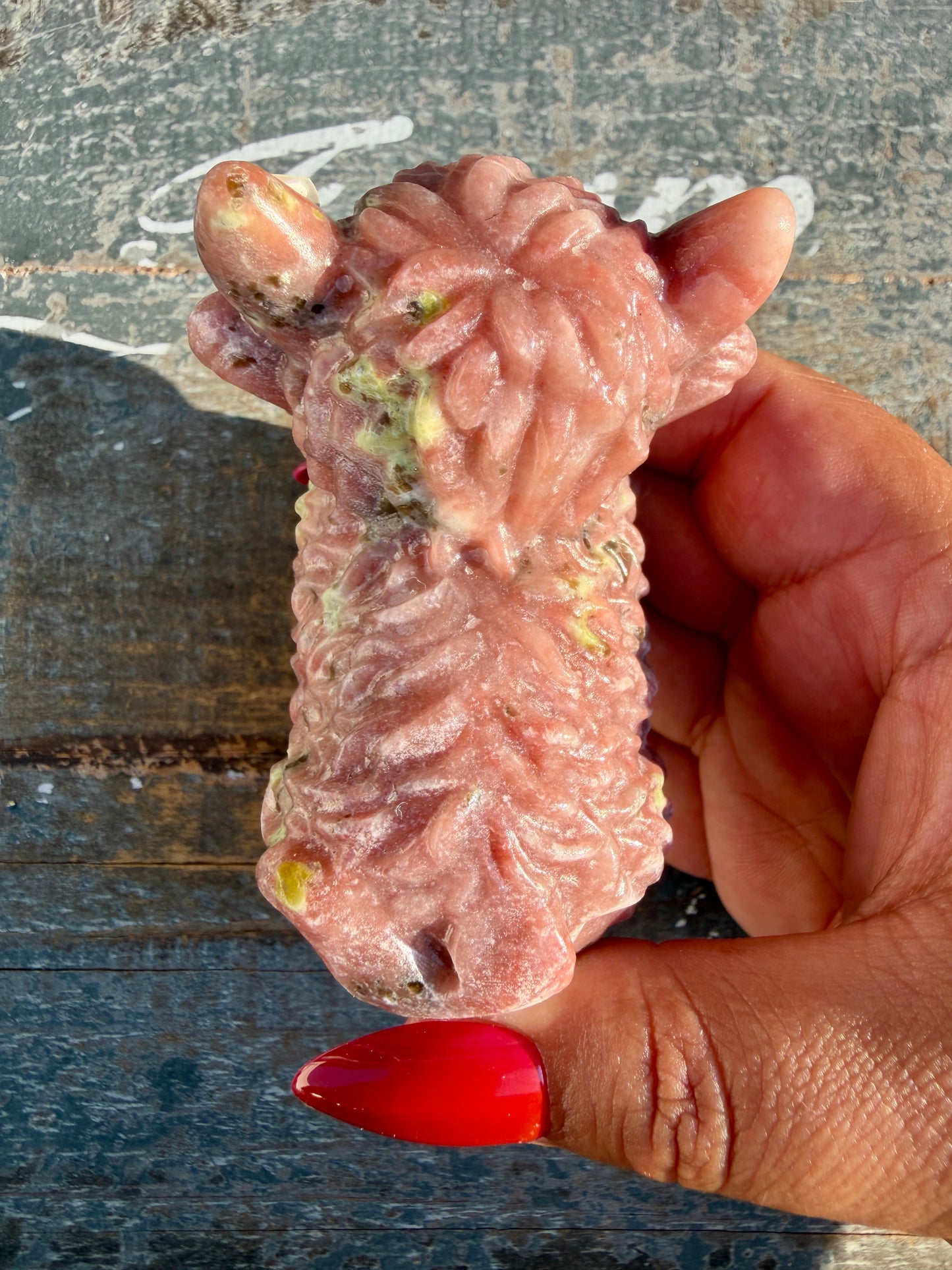 Adorable Peach Blossom Tourmaline Highland Cow | Opt W