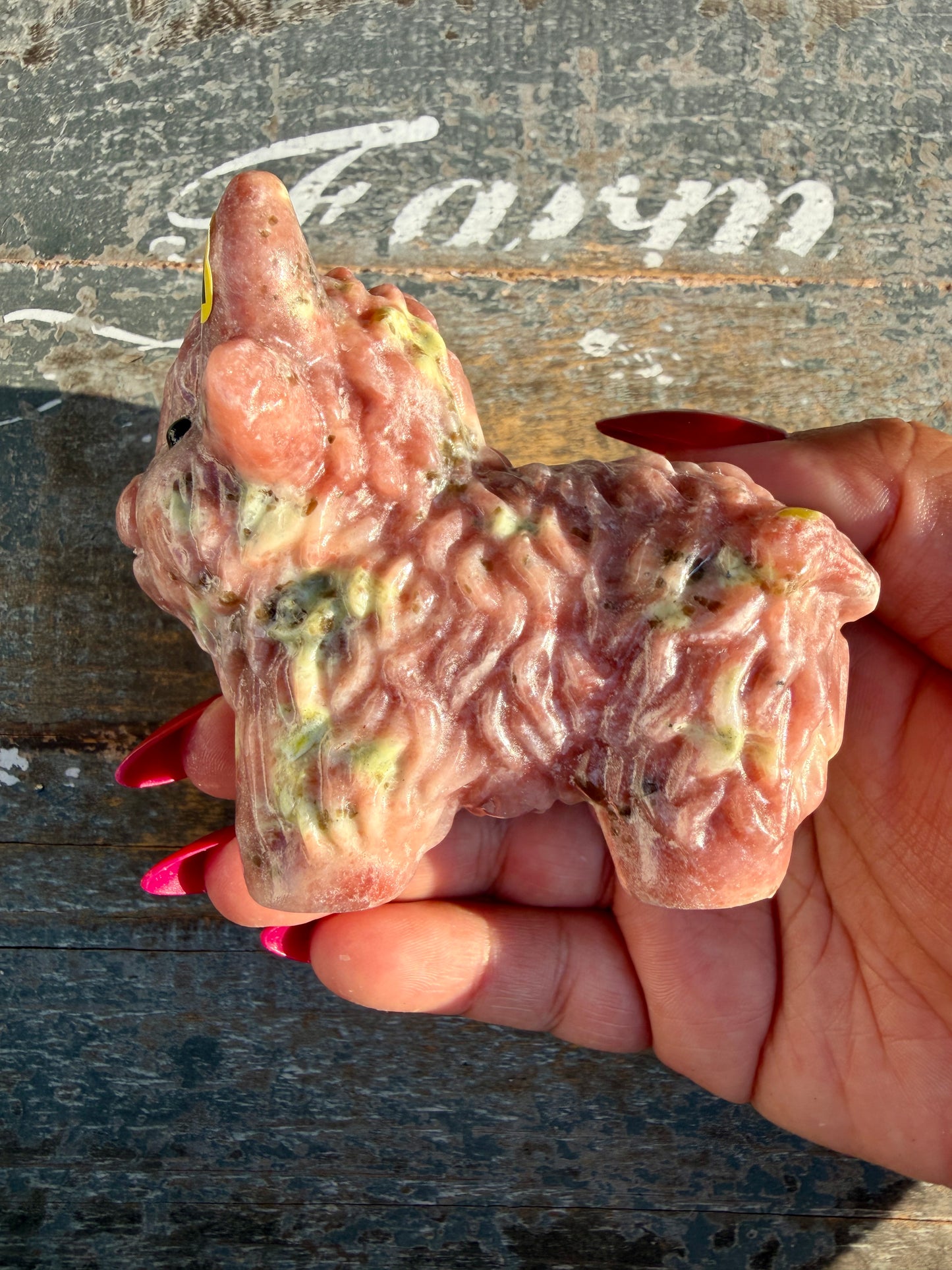 Adorable Peach Blossom Tourmaline Highland Cow | Opt W