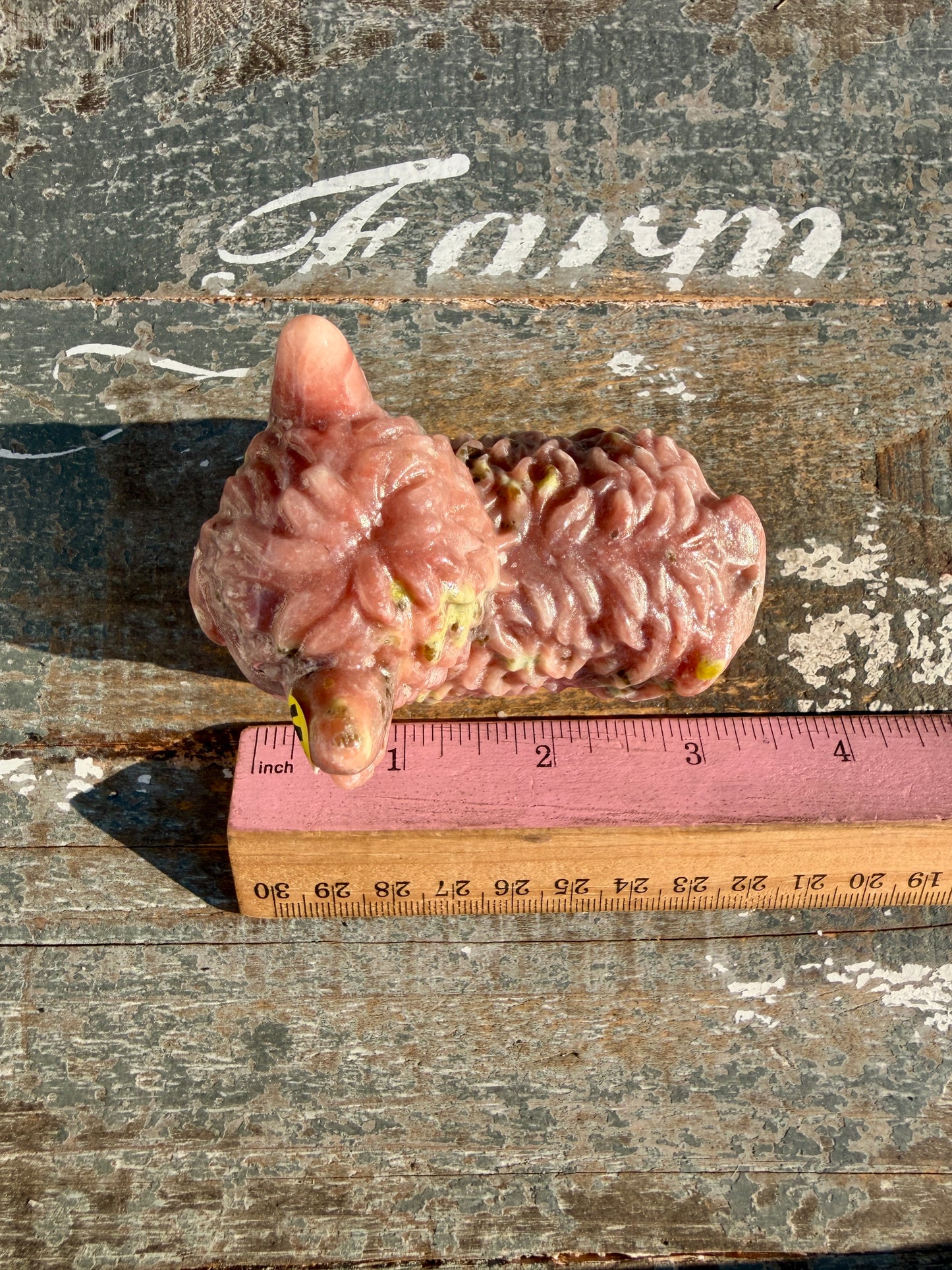Adorable Peach Blossom Tourmaline Highland Cow | Opt W