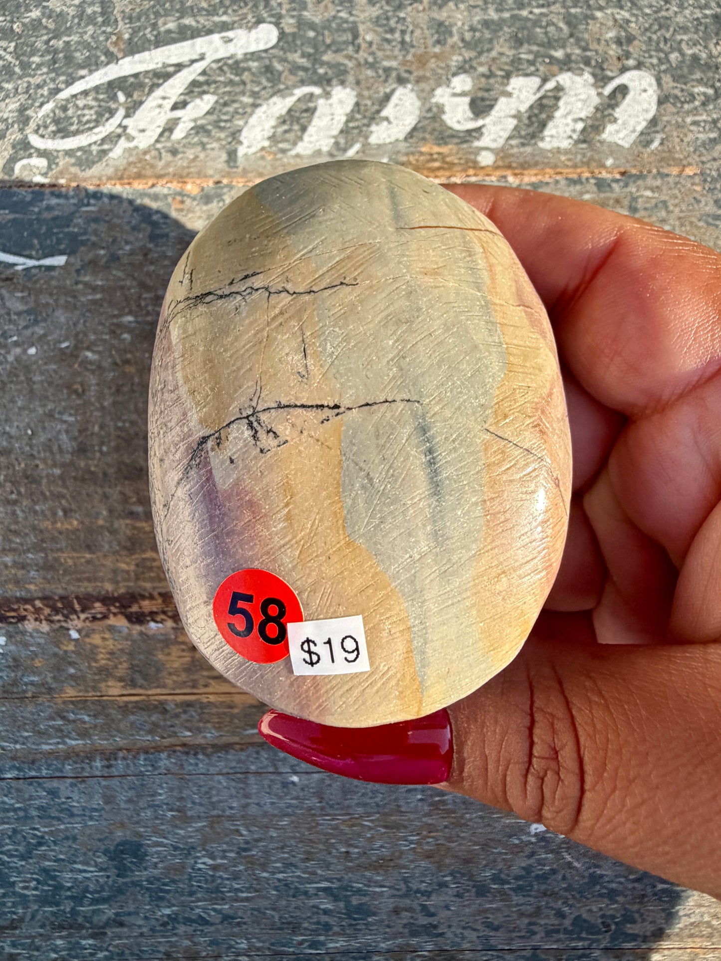 Slightly Imperfect Picture Jasper Palm Stone | Opt 58