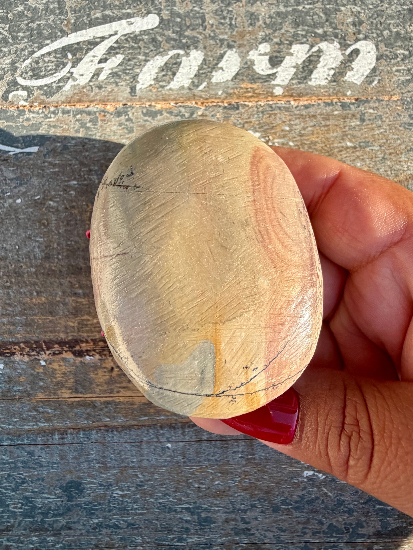 Slightly Imperfect Picture Jasper Palm Stone | Opt 58