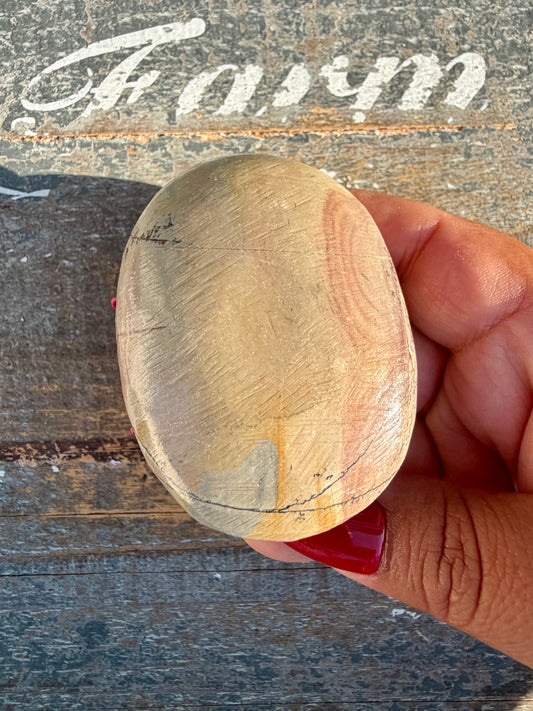 Slightly Imperfect Picture Jasper Palm Stone | Opt 58