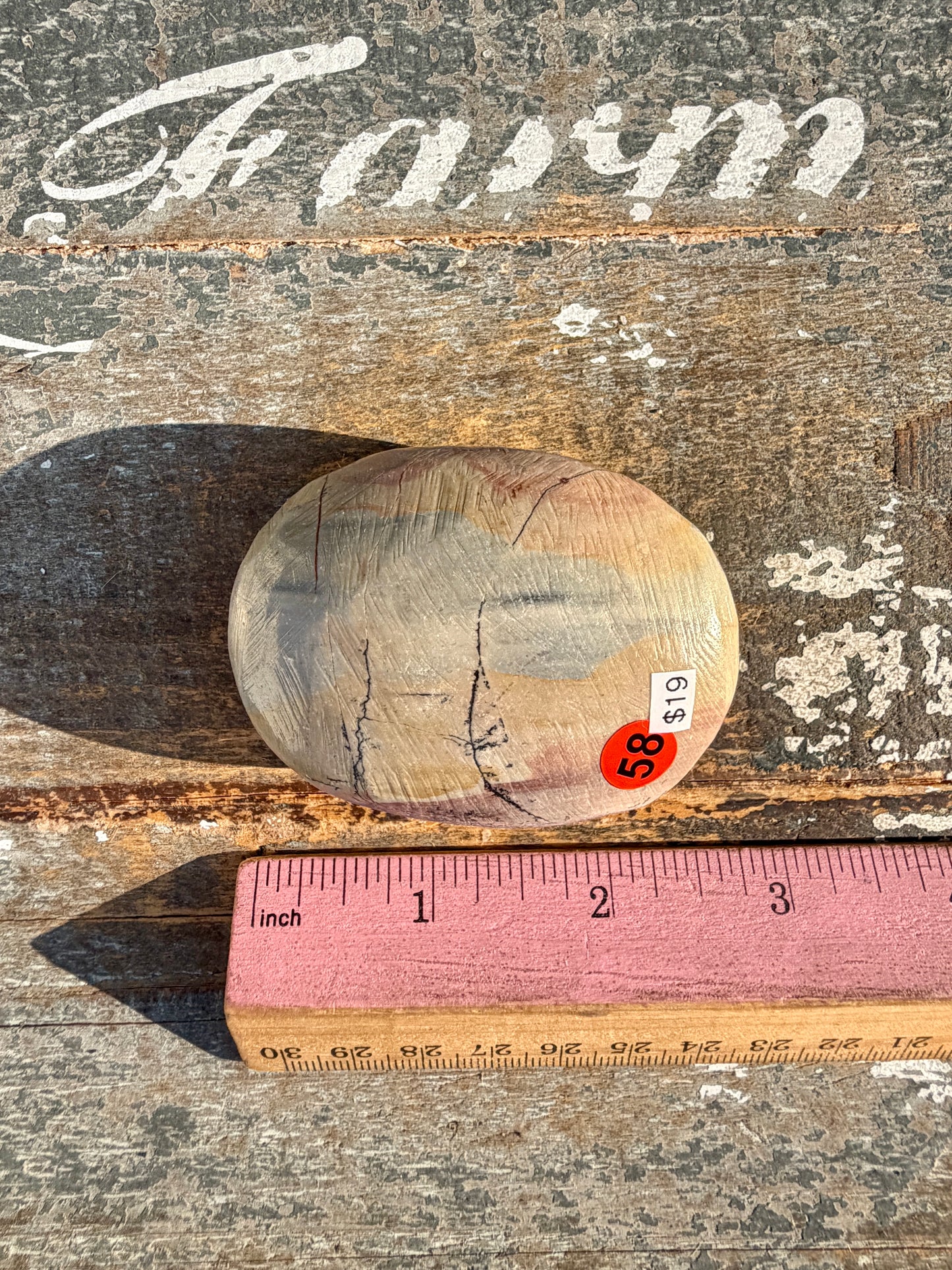 Slightly Imperfect Picture Jasper Palm Stone | Opt 58
