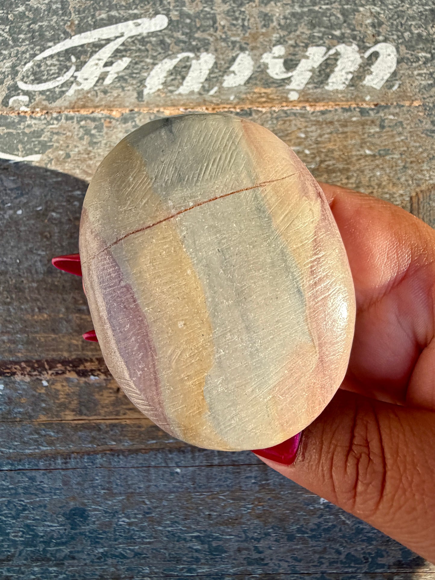 Slightly Imperfect Picture Jasper Palm Stone | Opt 57