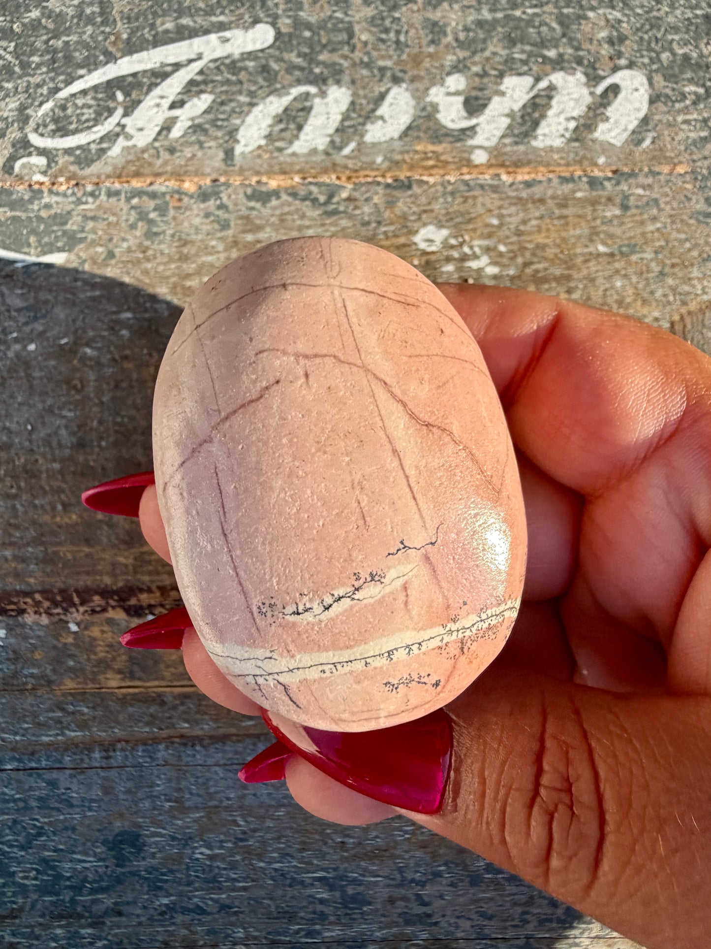 Slightly Imperfect Picture Jasper Palm Stone | Opt 48
