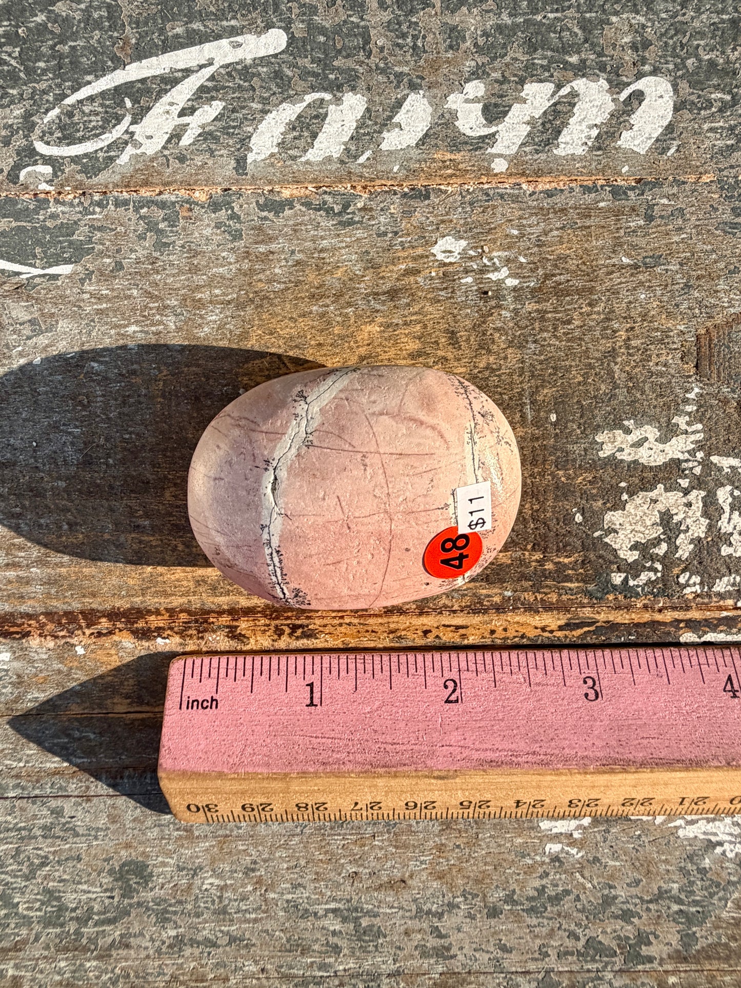 Slightly Imperfect Picture Jasper Palm Stone | Opt 48