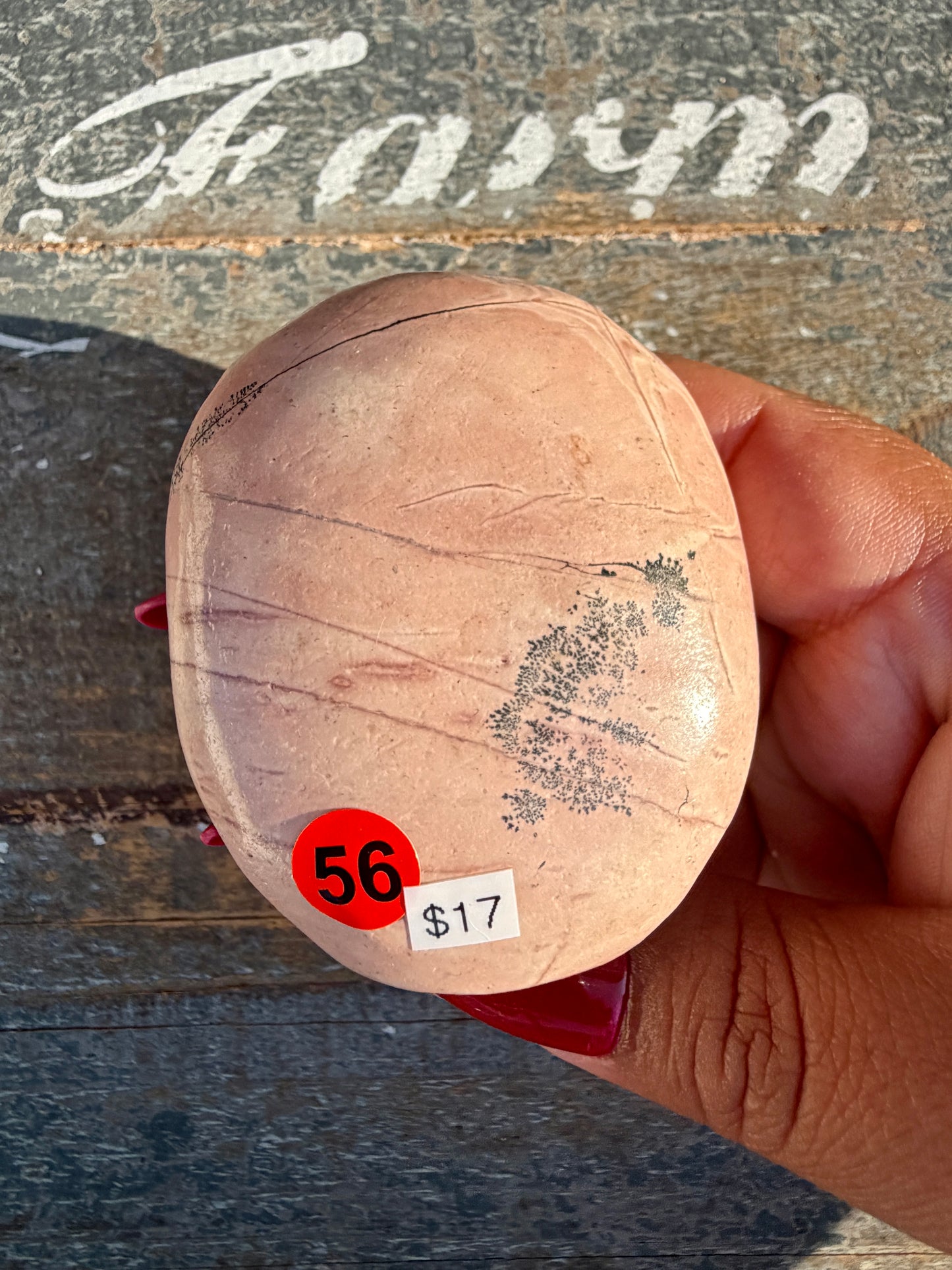 Slightly Imperfect Picture Jasper Palm Stone | Opt 56