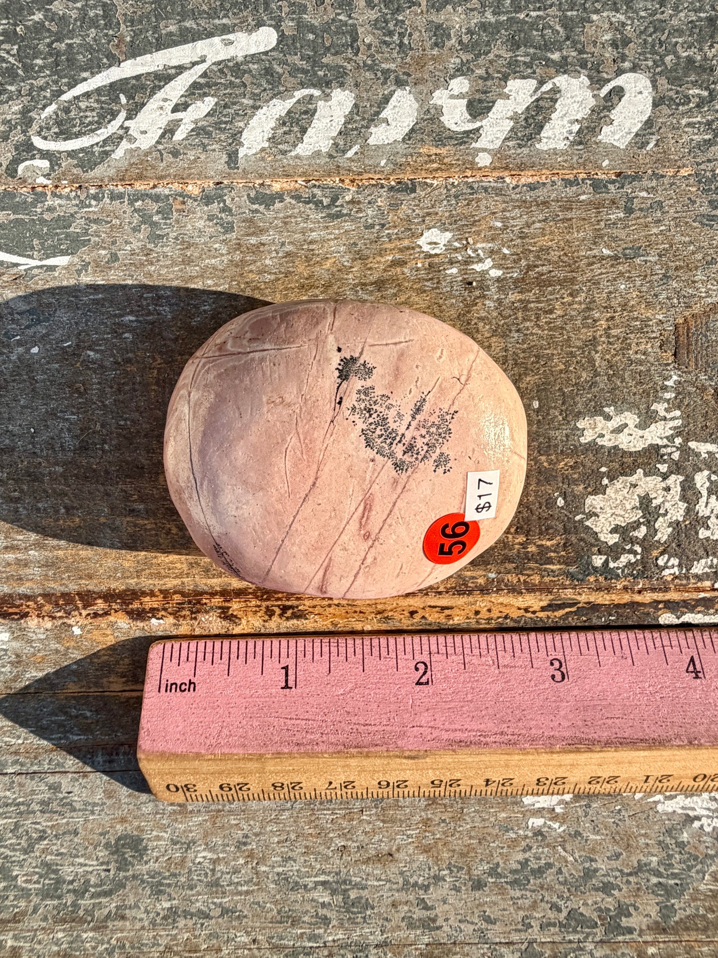 Slightly Imperfect Picture Jasper Palm Stone | Opt 56