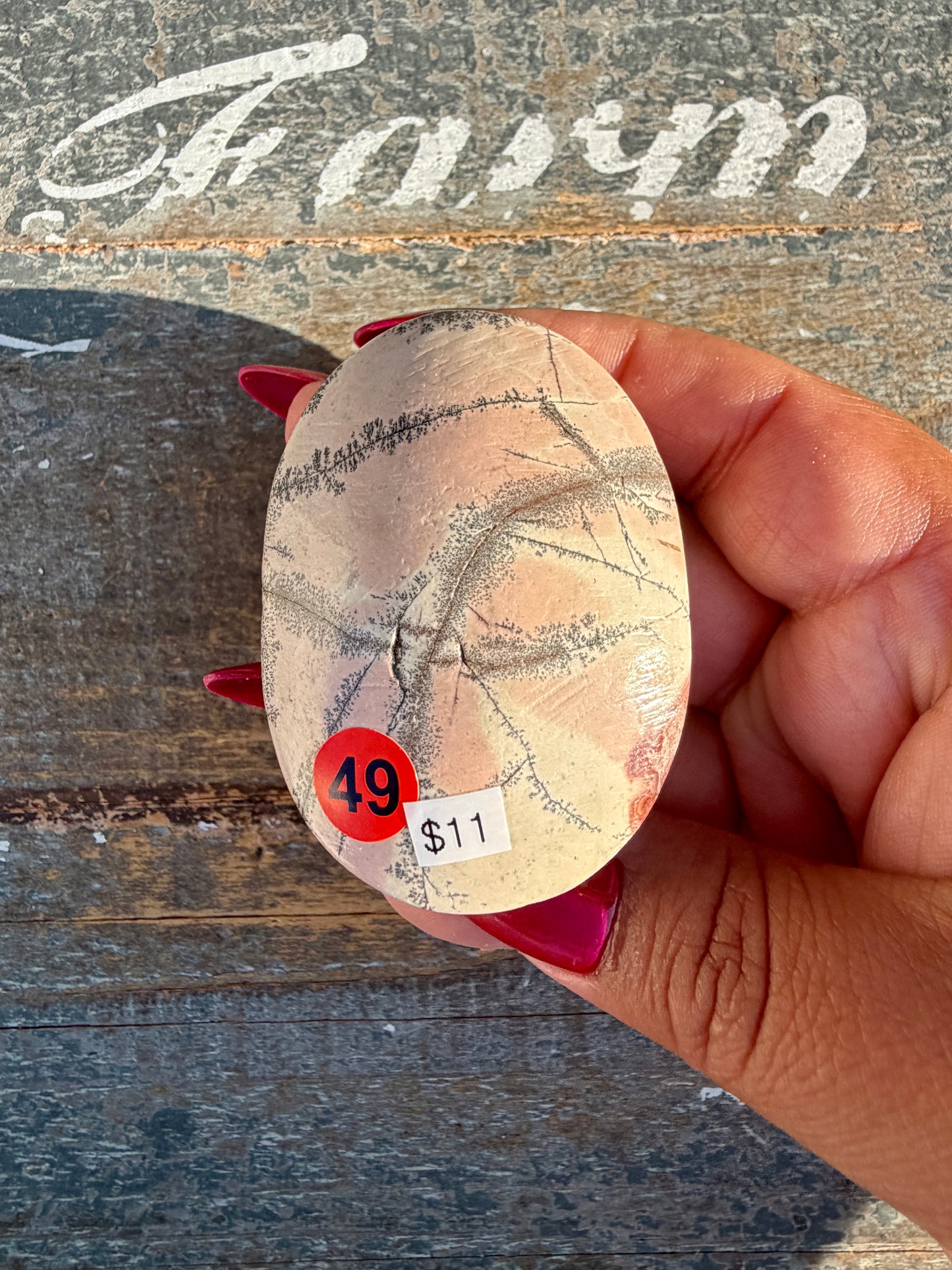 Slightly Imperfect Picture Jasper Palm Stone | Opt 49