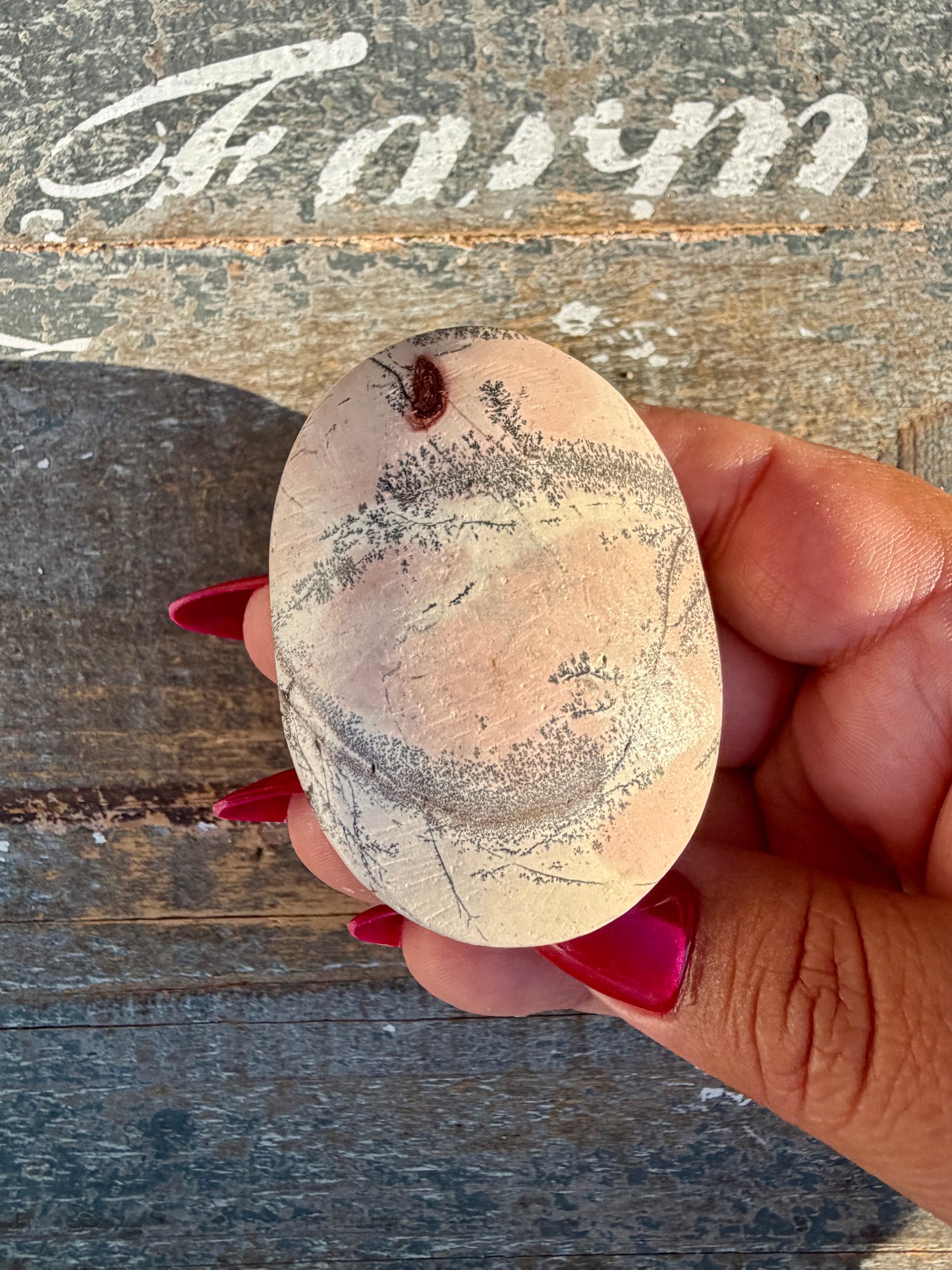 Slightly Imperfect Picture Jasper Palm Stone | Opt 49