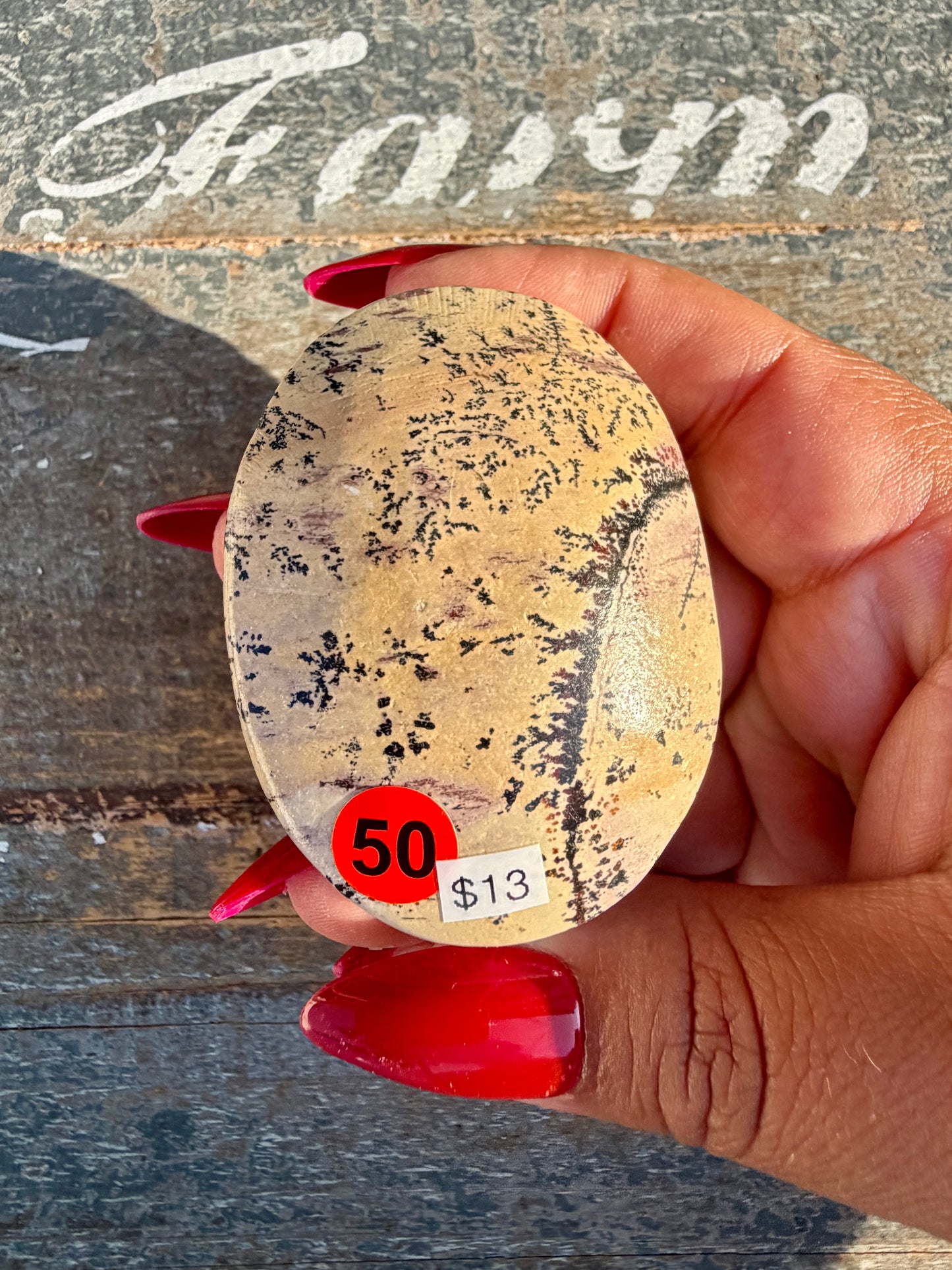 Slightly Imperfect Picture Jasper Palm Stone | Opt 50
