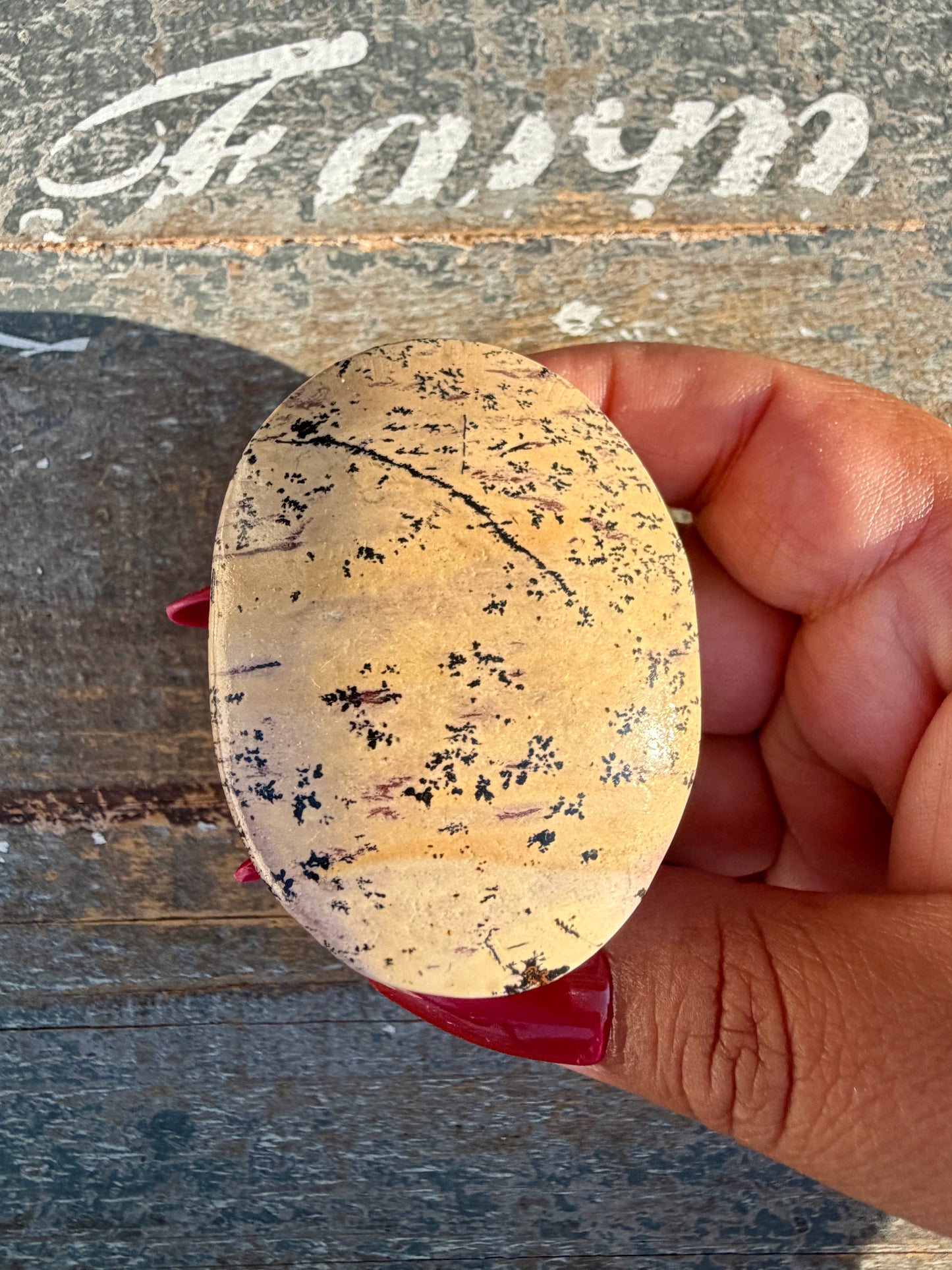 Slightly Imperfect Picture Jasper Palm Stone | Opt 50