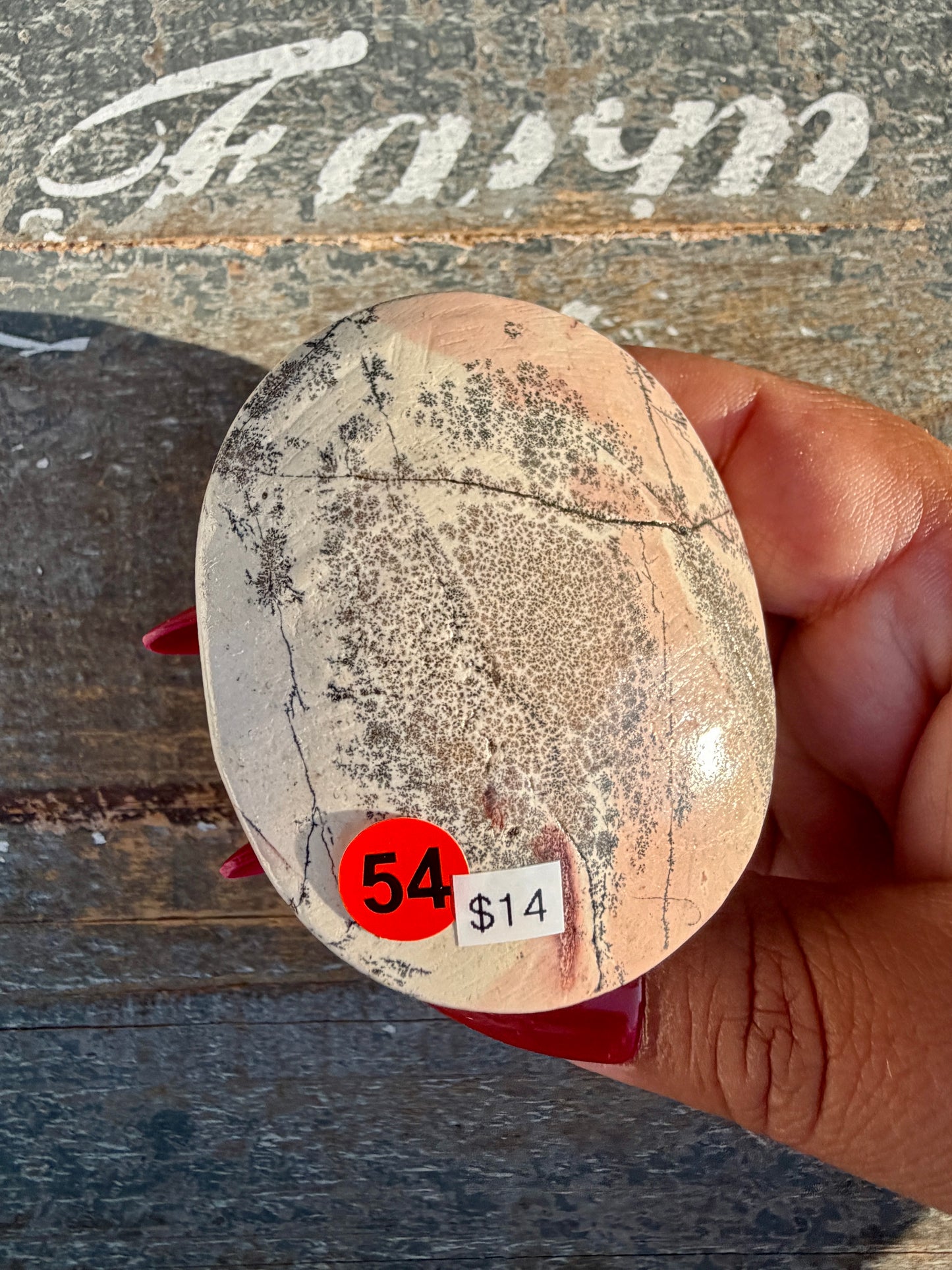Slightly Imperfect Picture Jasper Palm Stone | Opt 54