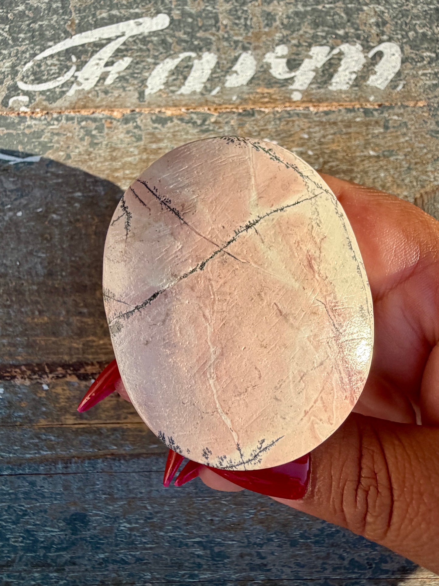 Slightly Imperfect Picture Jasper Palm Stone | Opt 54