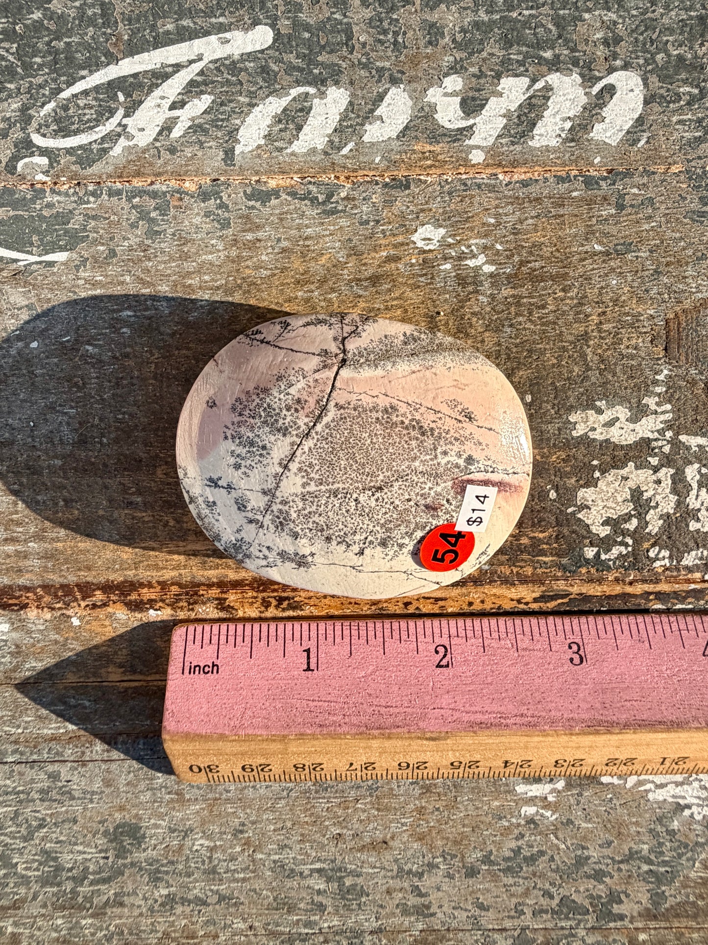 Slightly Imperfect Picture Jasper Palm Stone | Opt 54