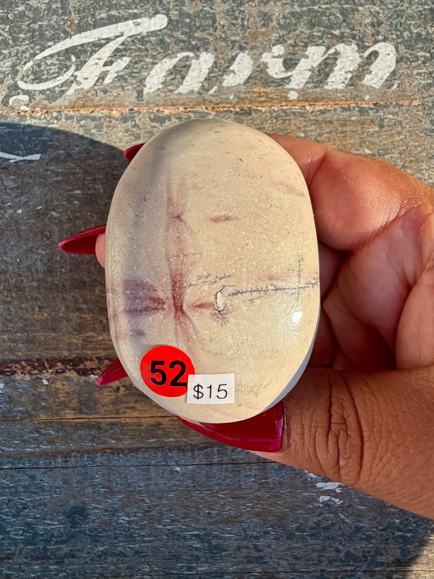 Slightly Imperfect Picture Jasper Palm Stone | Opt 52