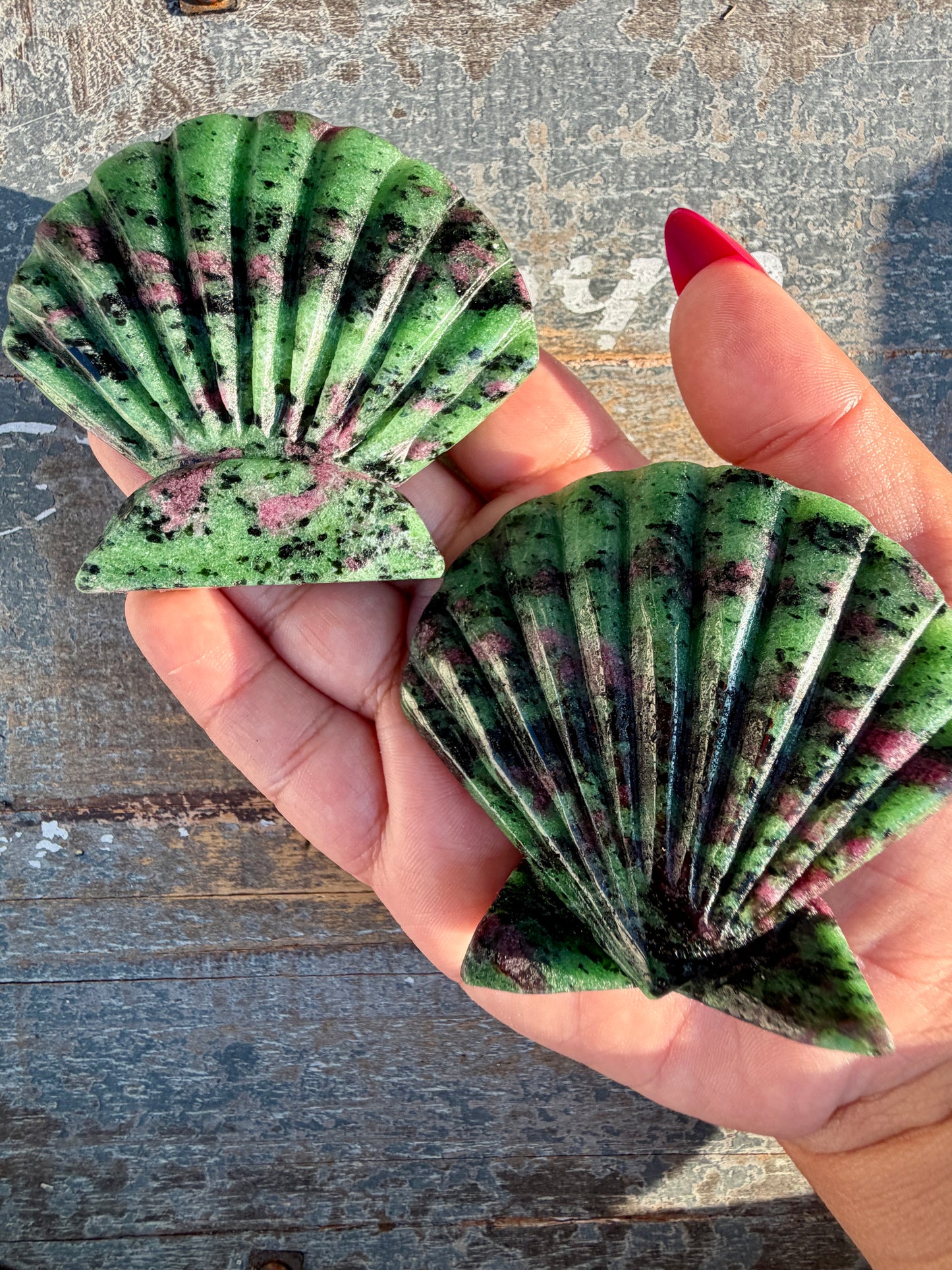 One (1) Gorgeous Ruby in Zoisite Scallop Shell | Intuitively Chosen | UV Reactive (self standing)
